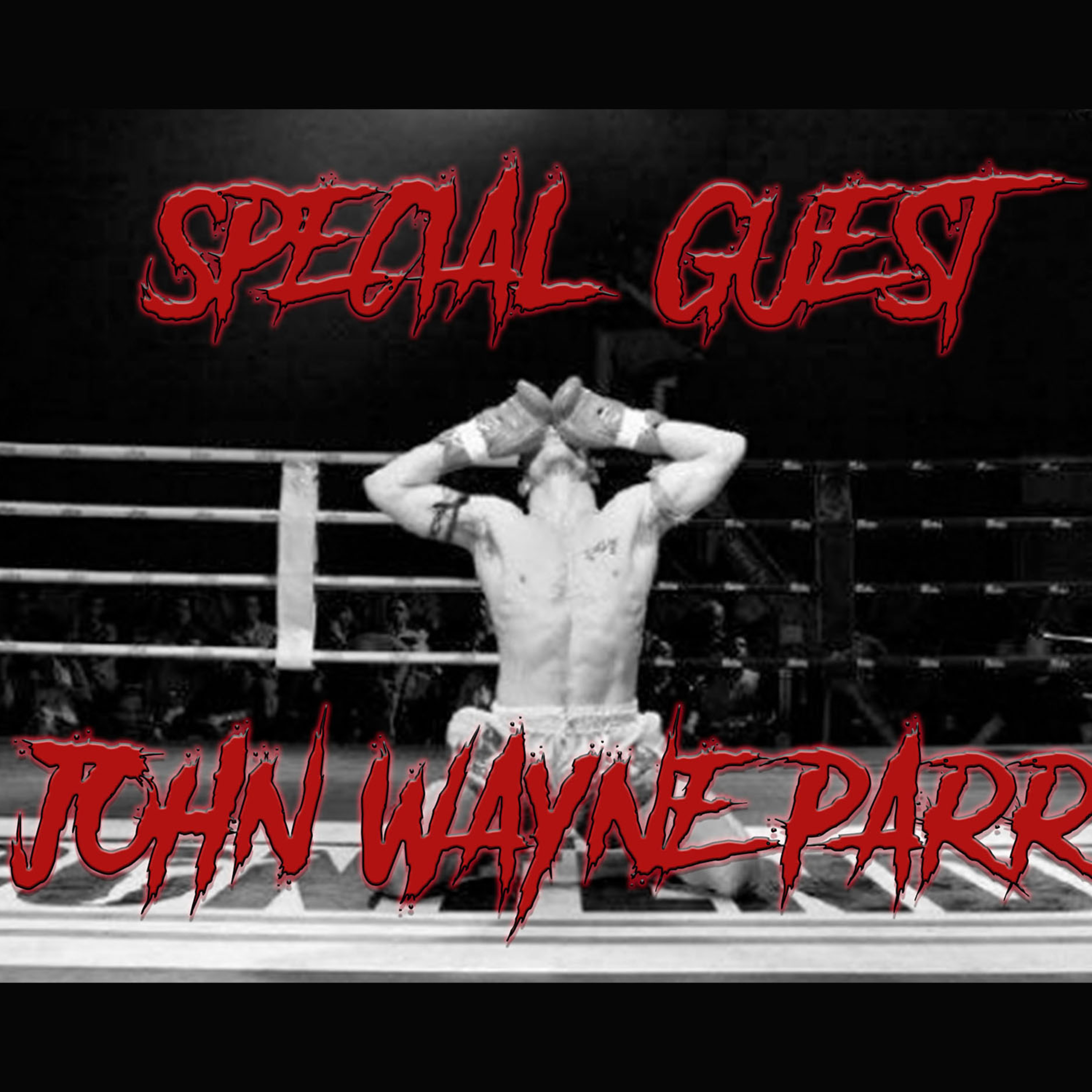 The Fight Chase Muay Thai & MMA Podcast