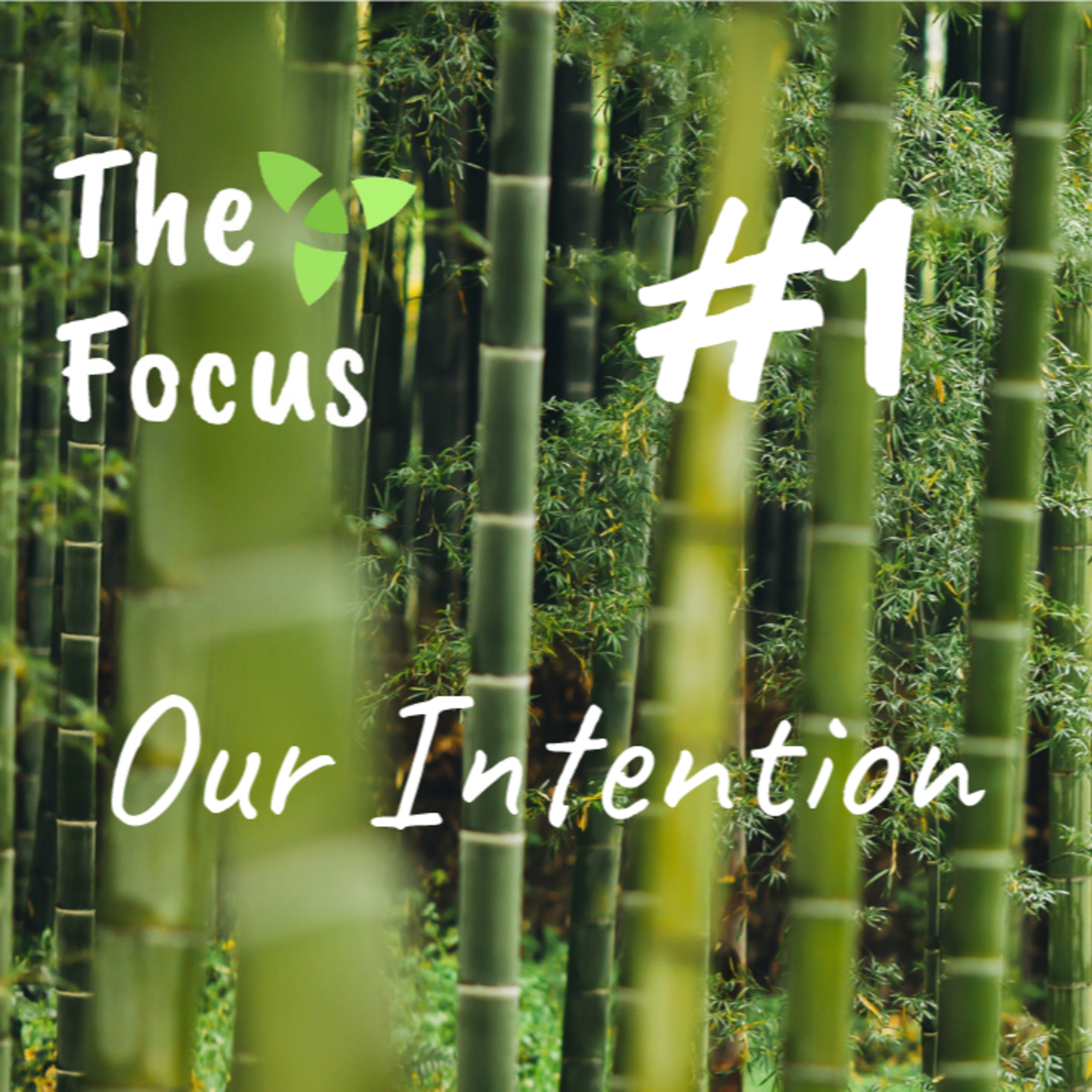 The Focus
