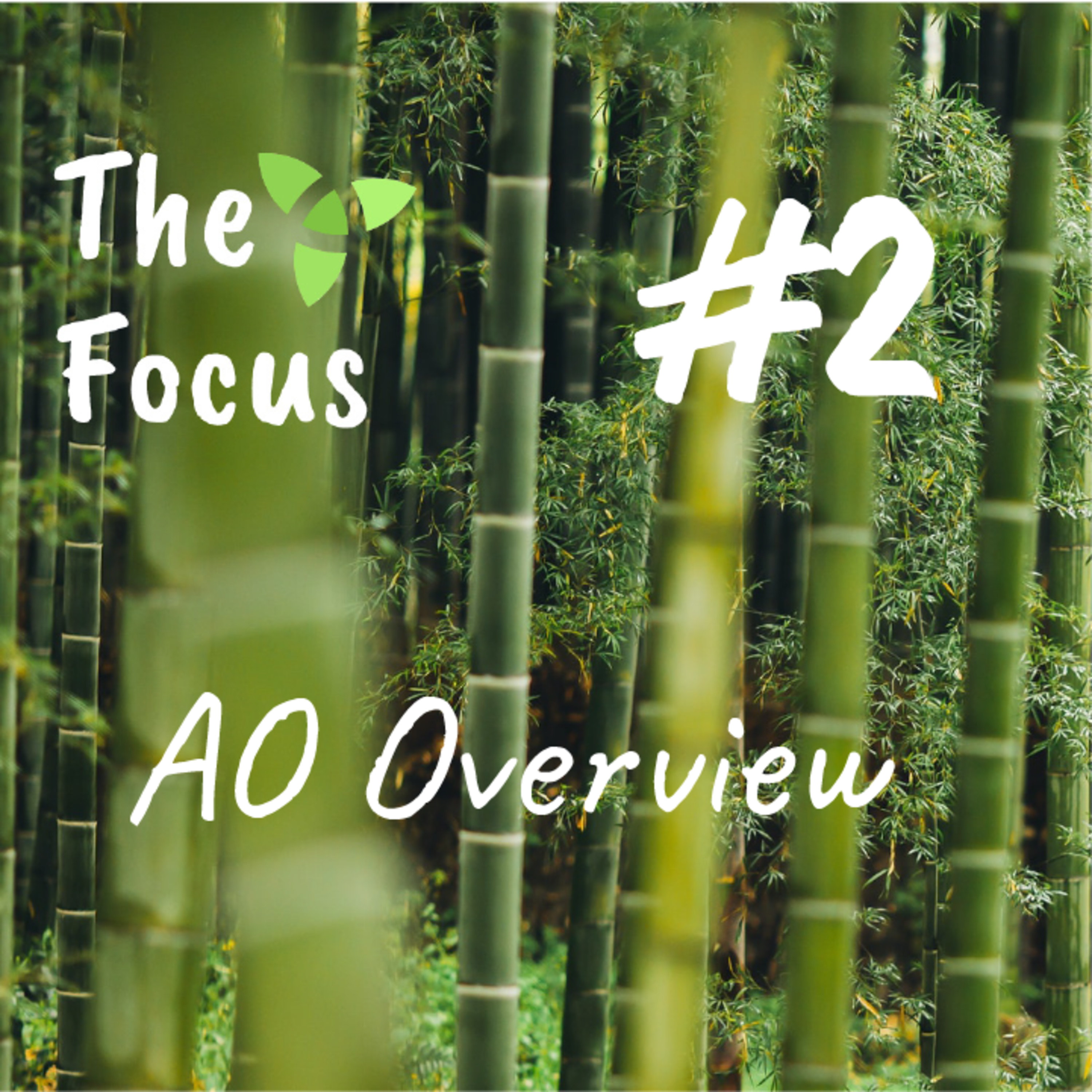 The Focus