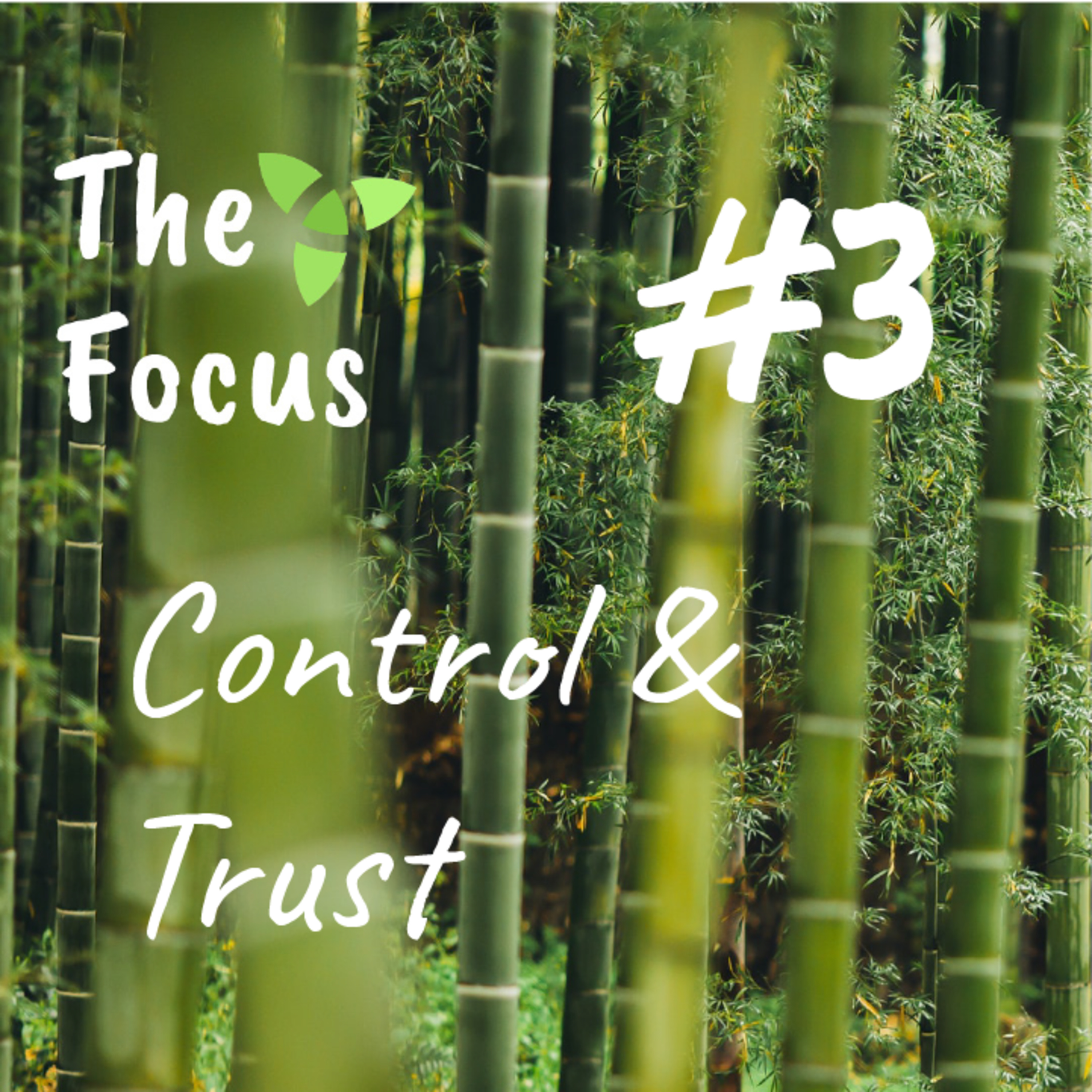 The Focus