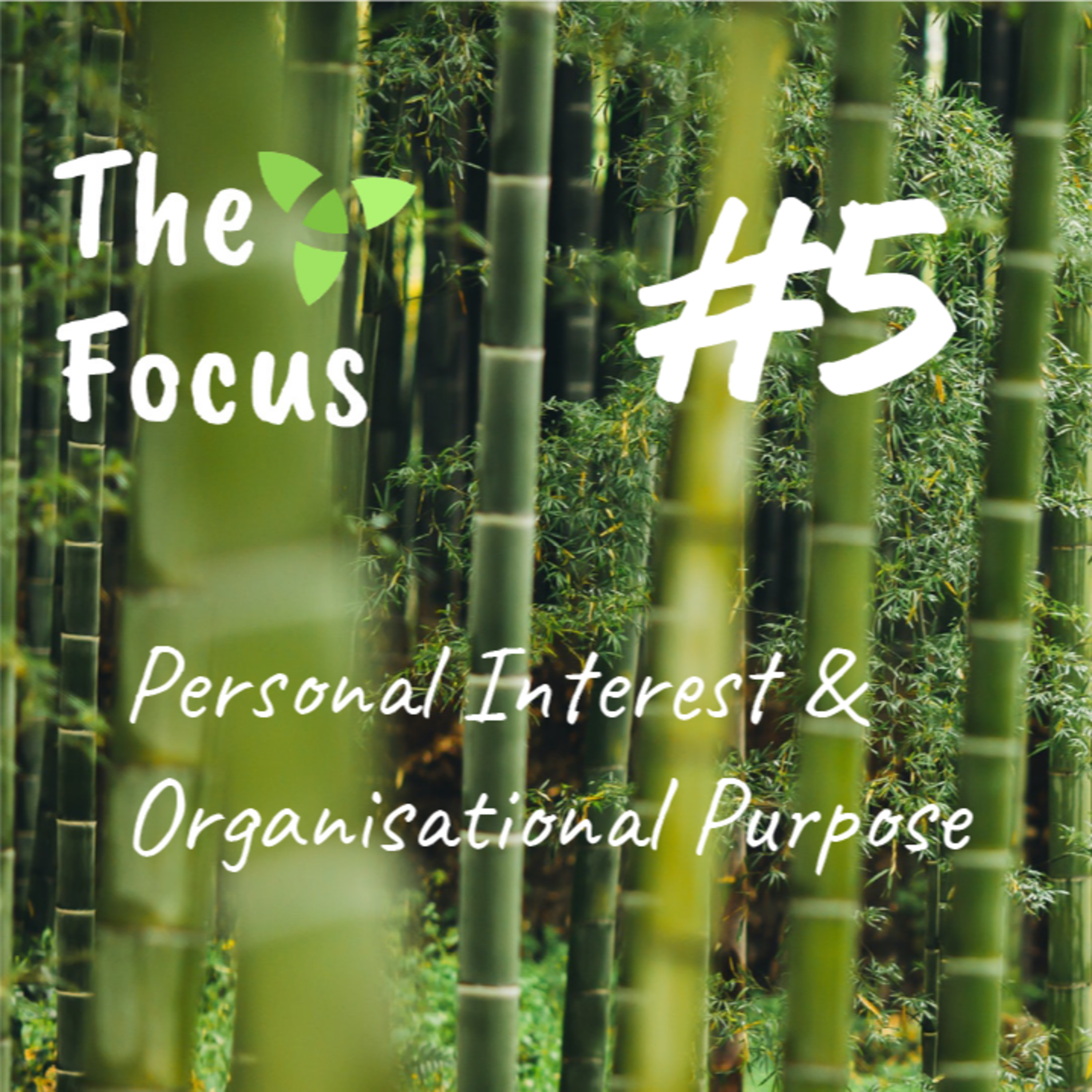 The Focus