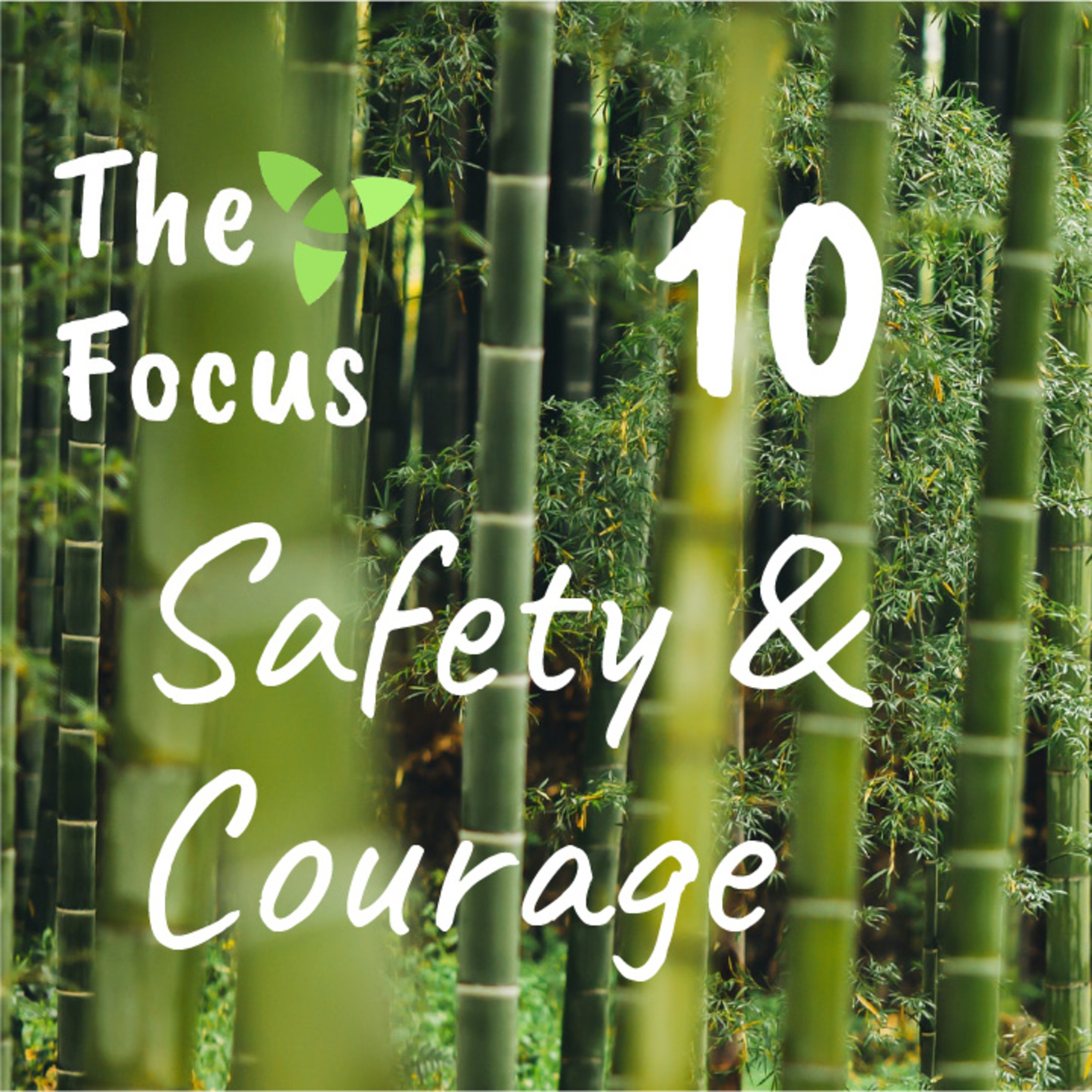 The Focus