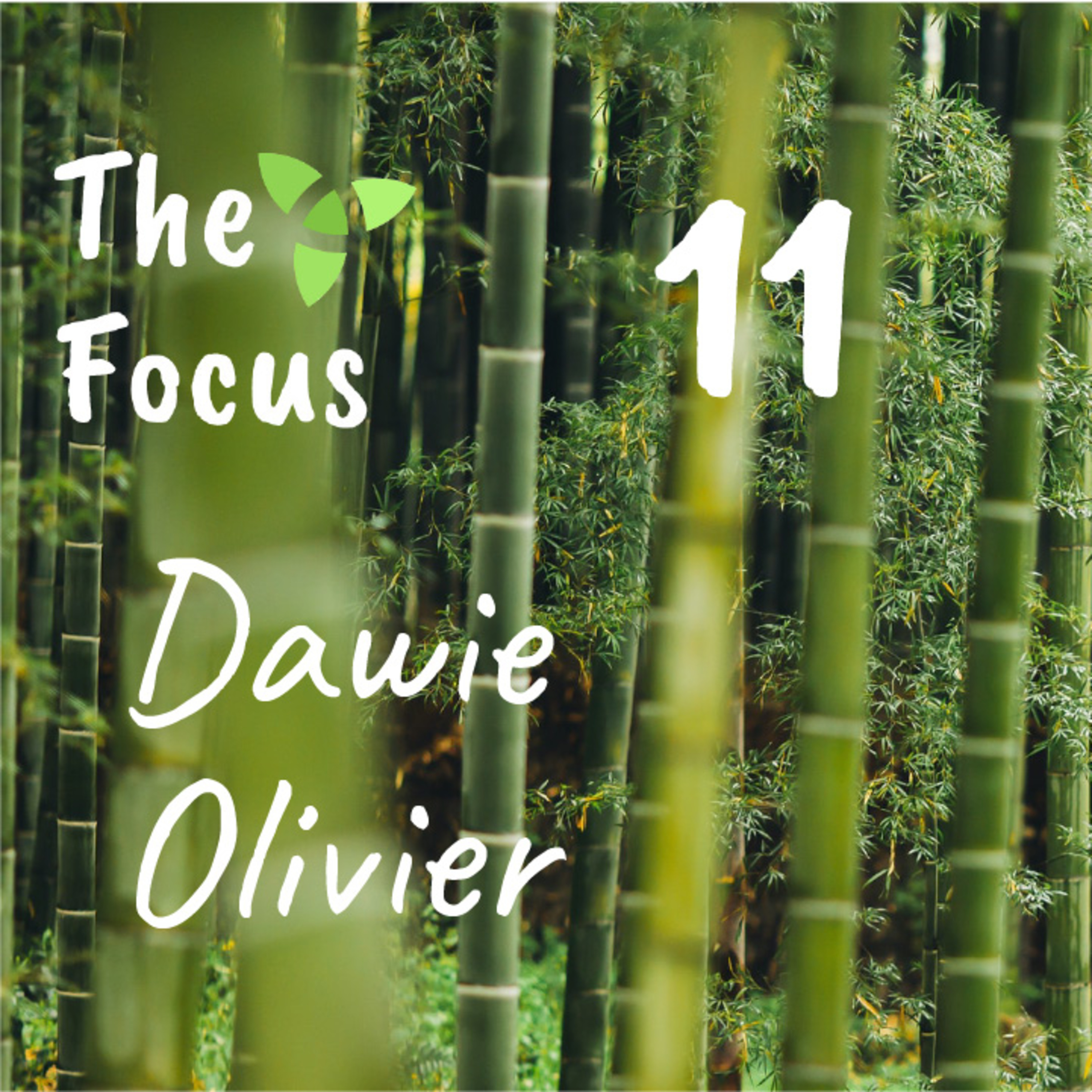 The Focus
