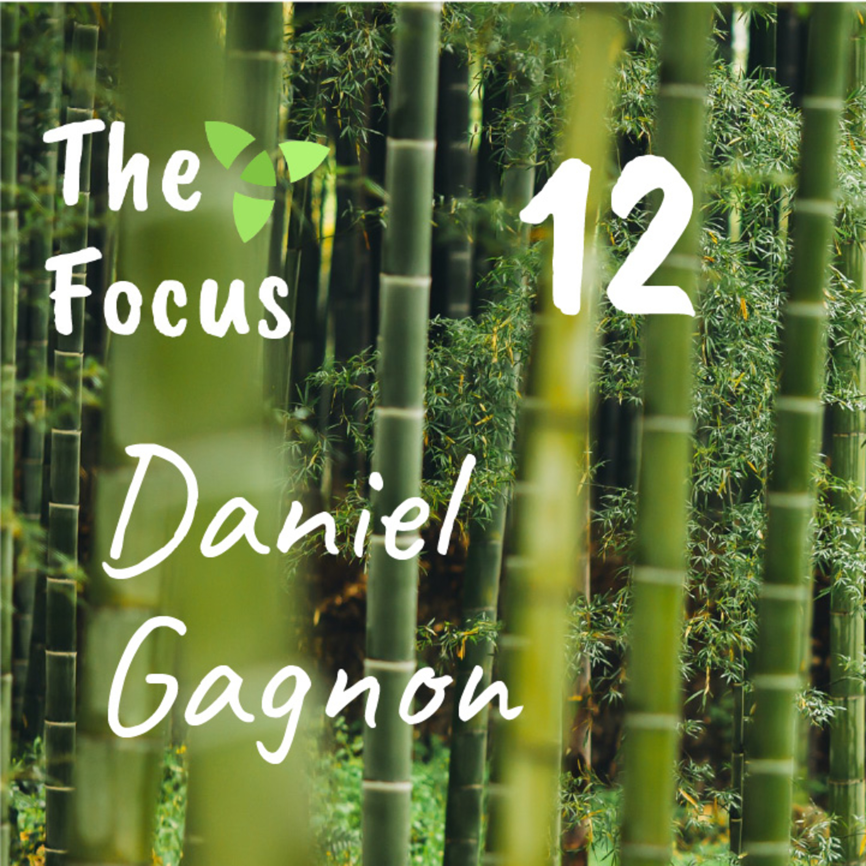 The Focus