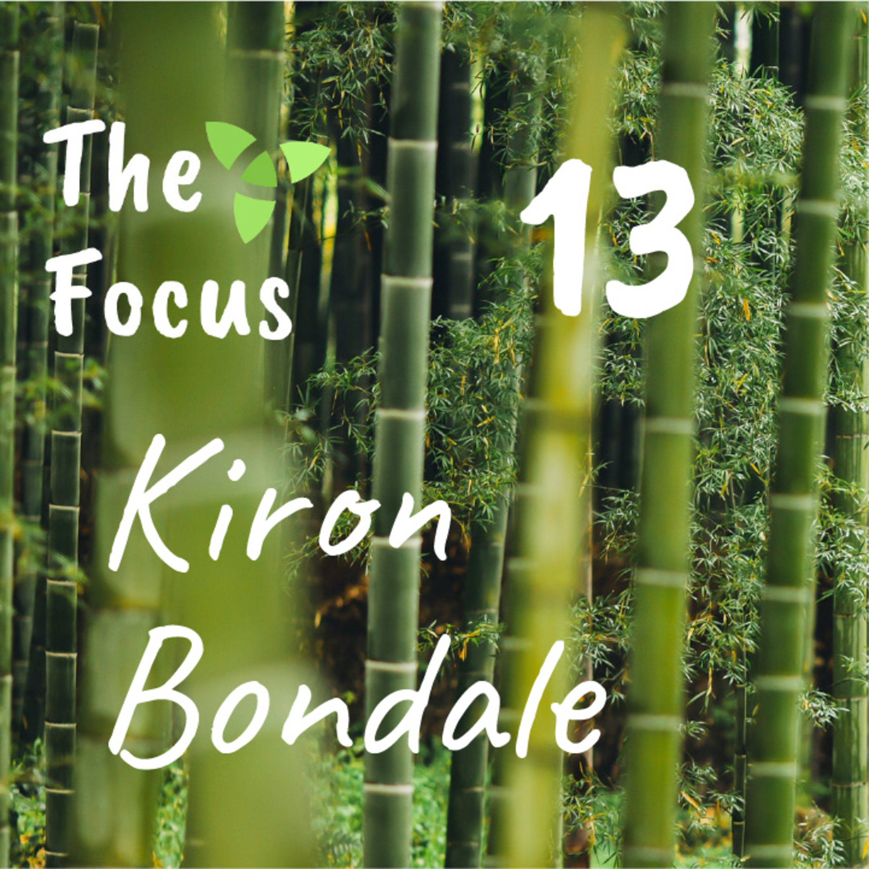 The Focus