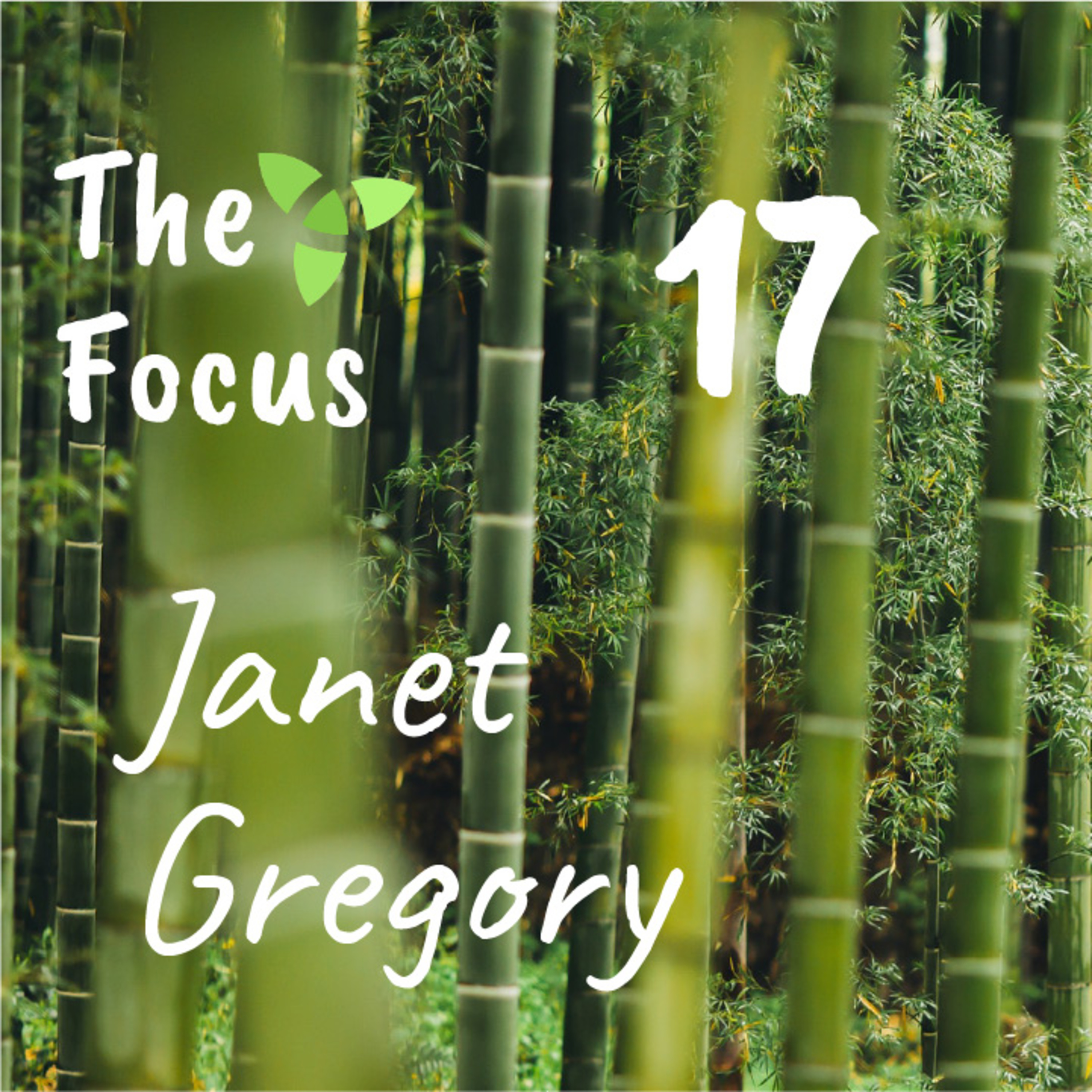 The Focus