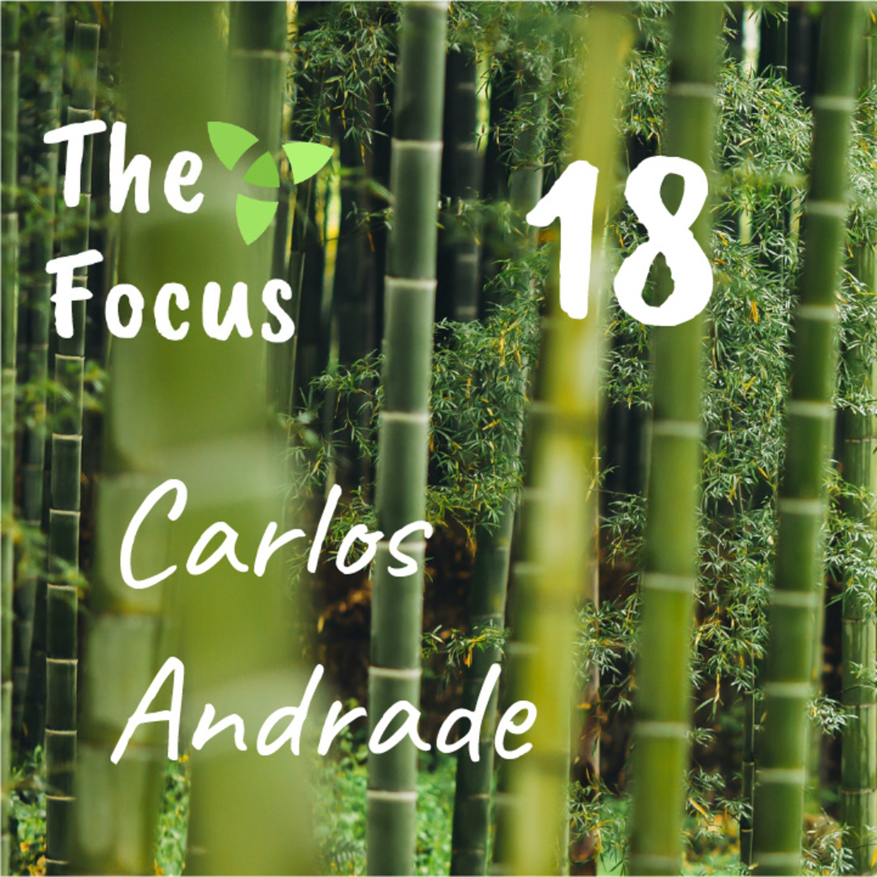 The Focus