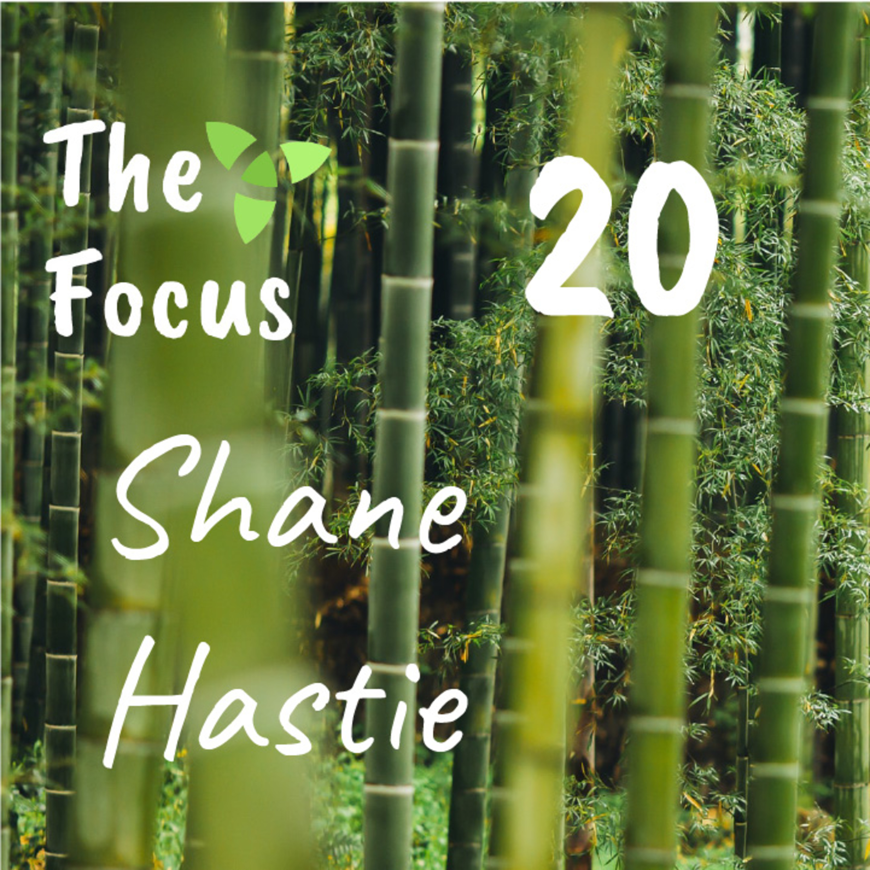 The Focus