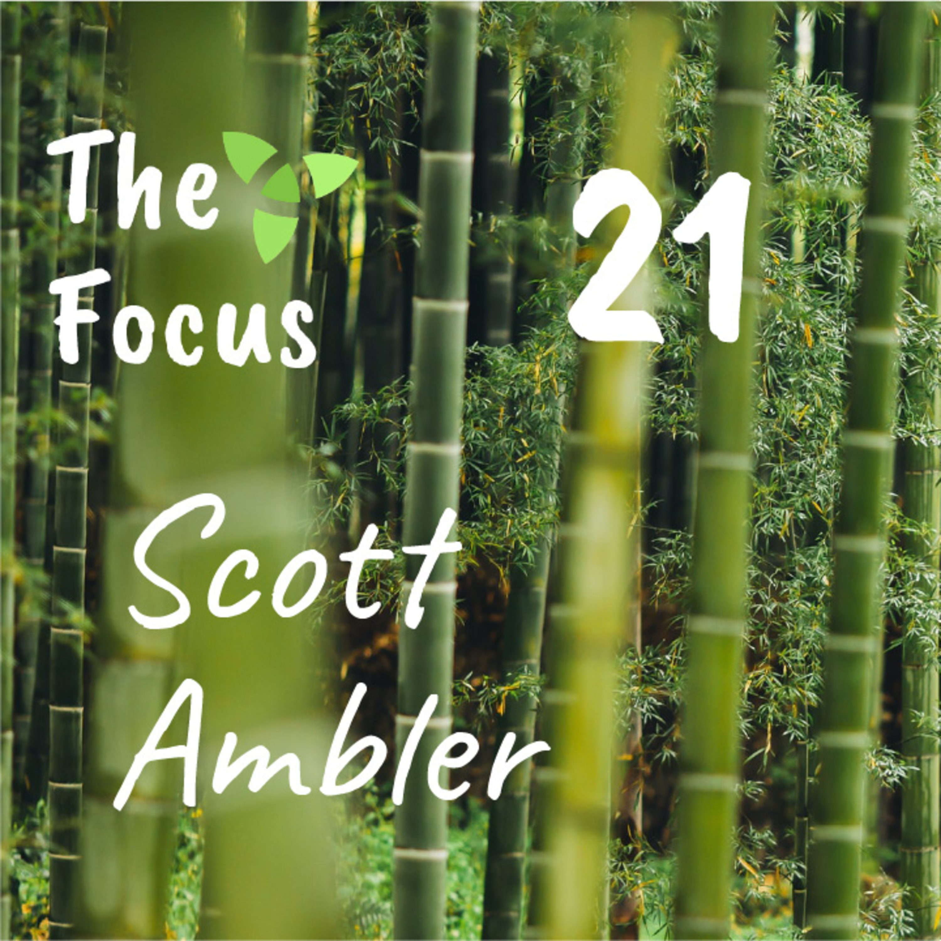 The Focus