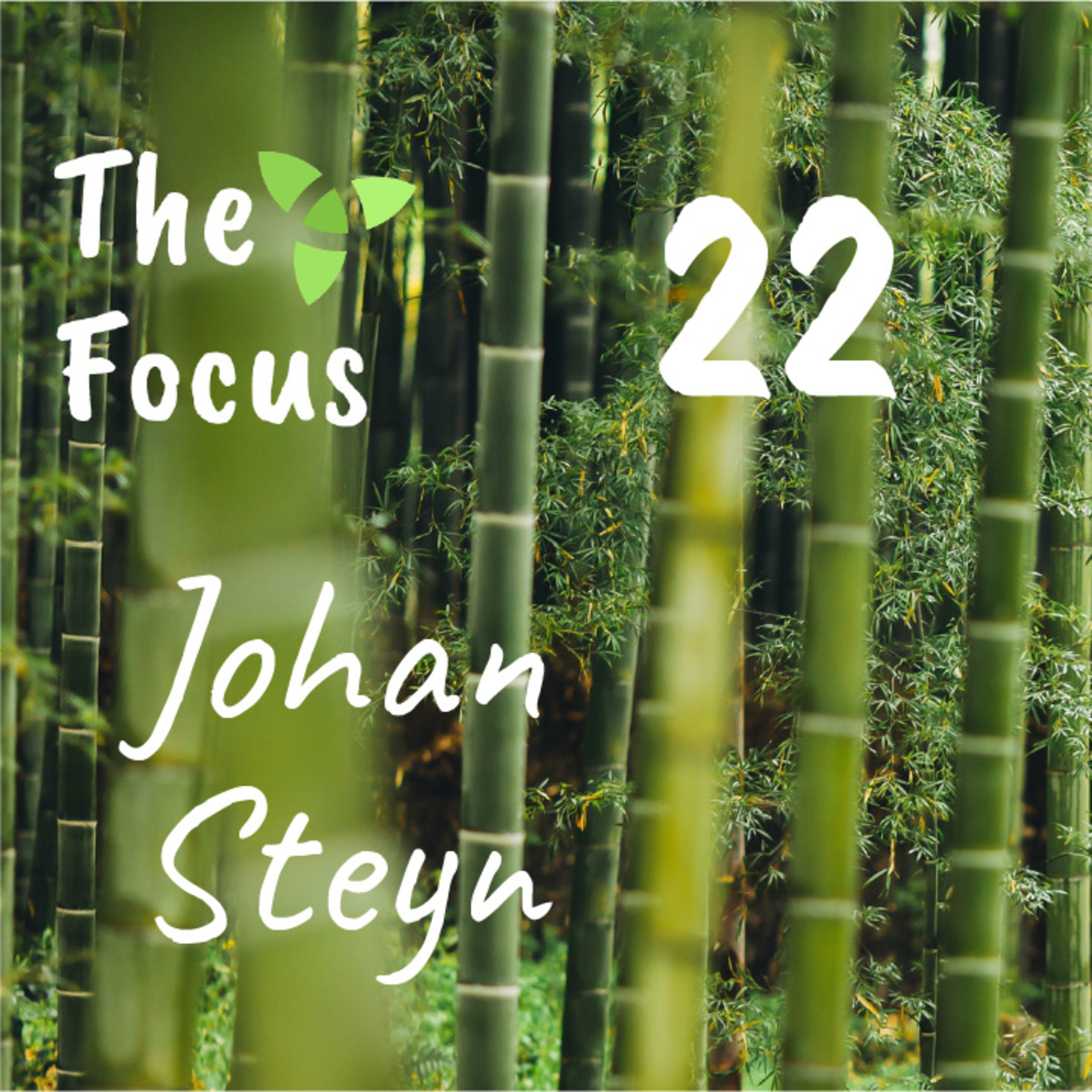 The Focus