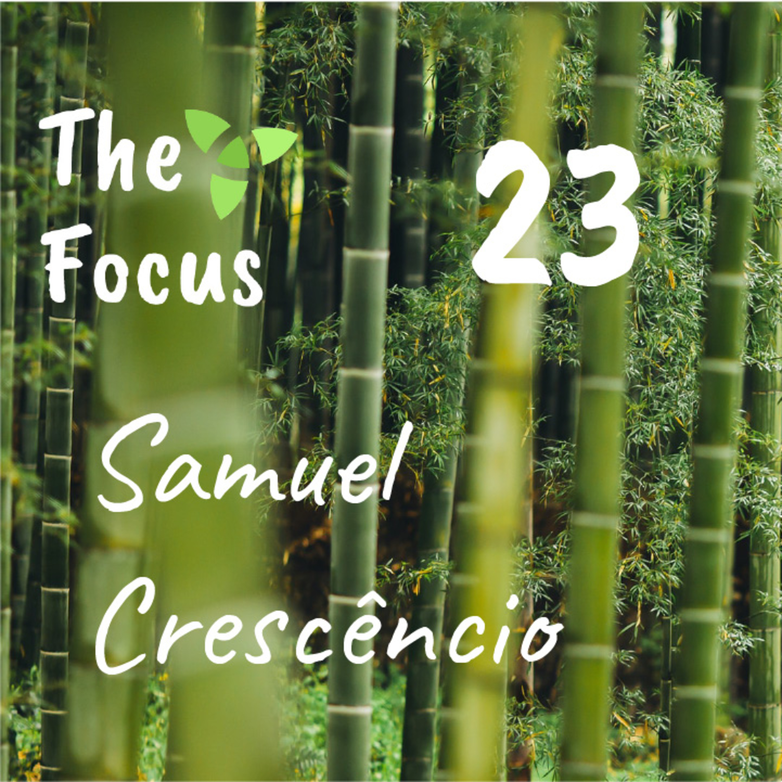 The Focus