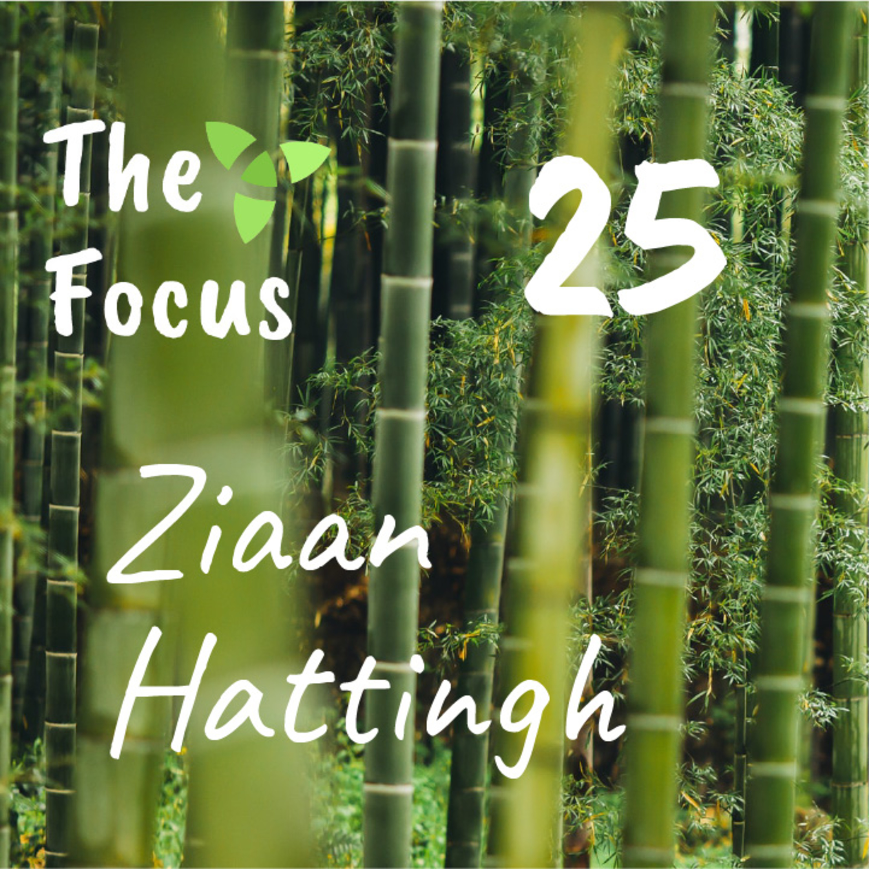 The Focus