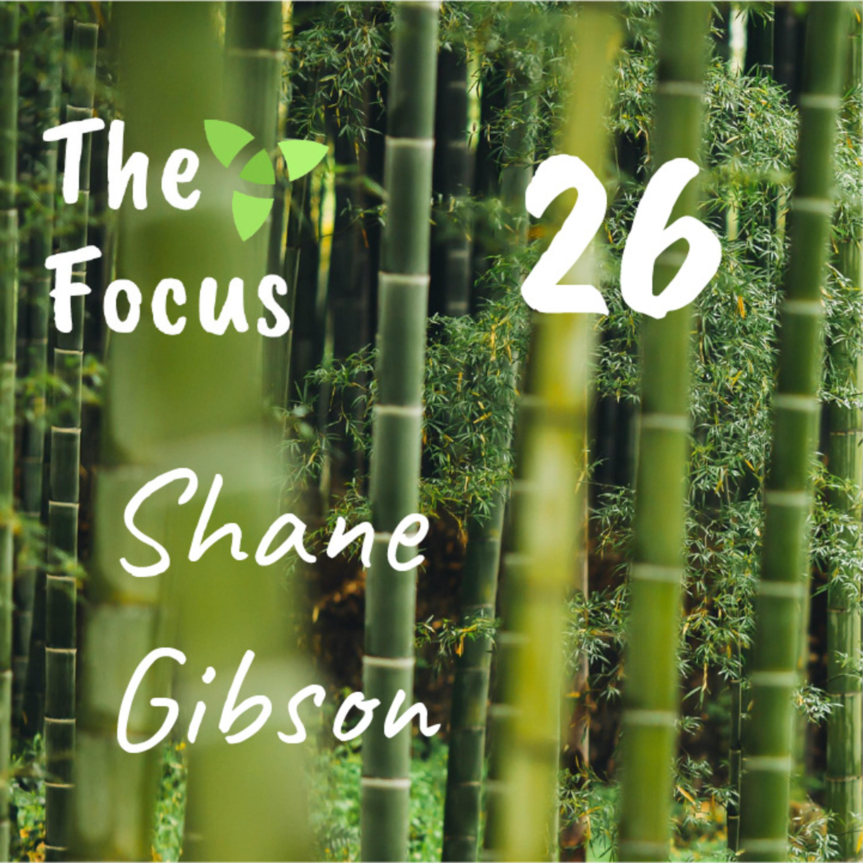 The Focus