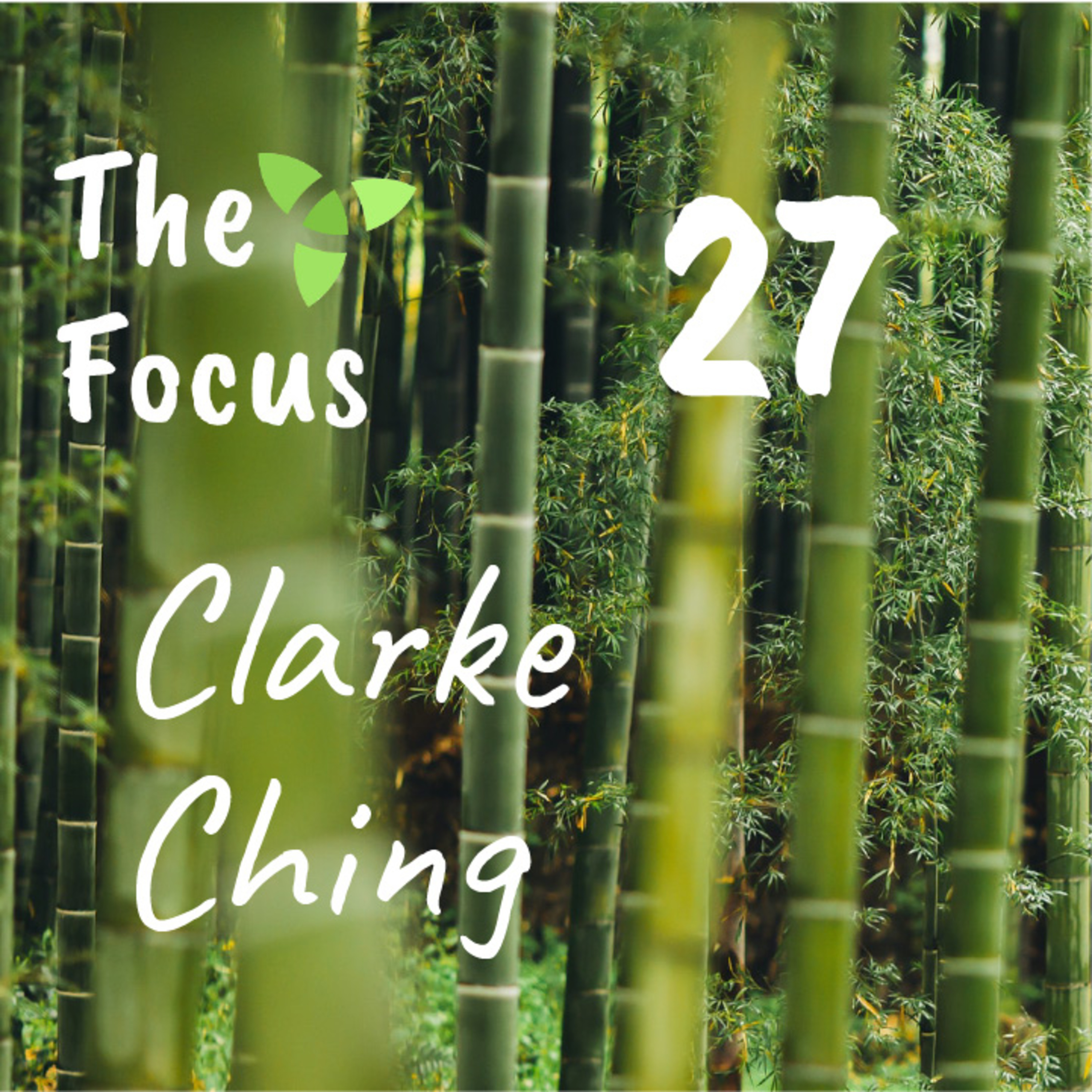 The Focus