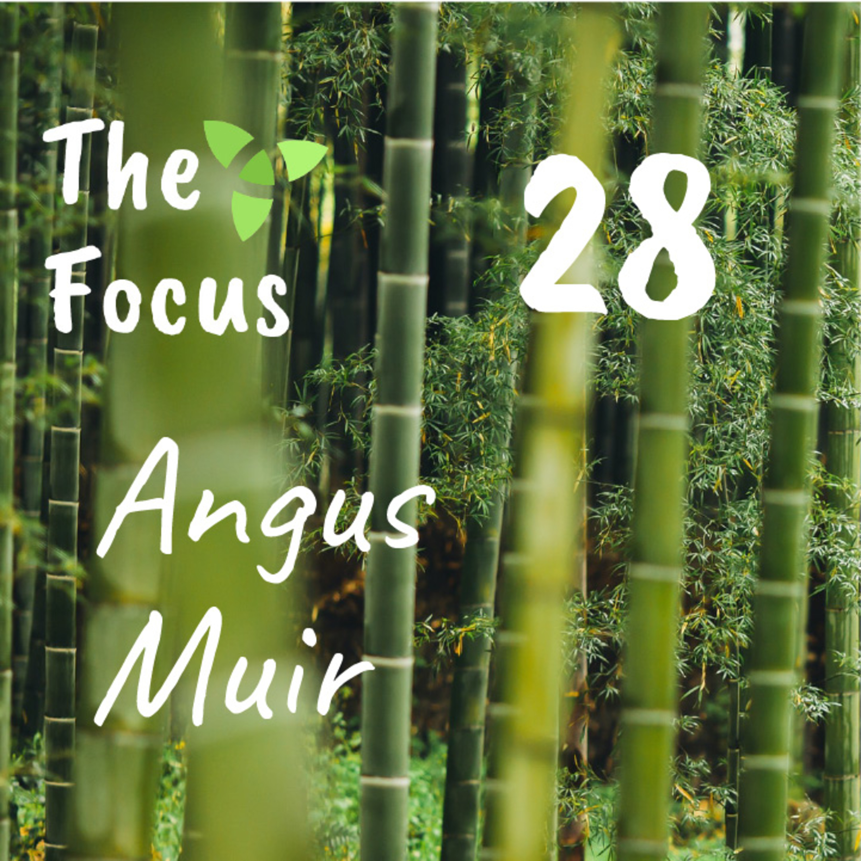 The Focus