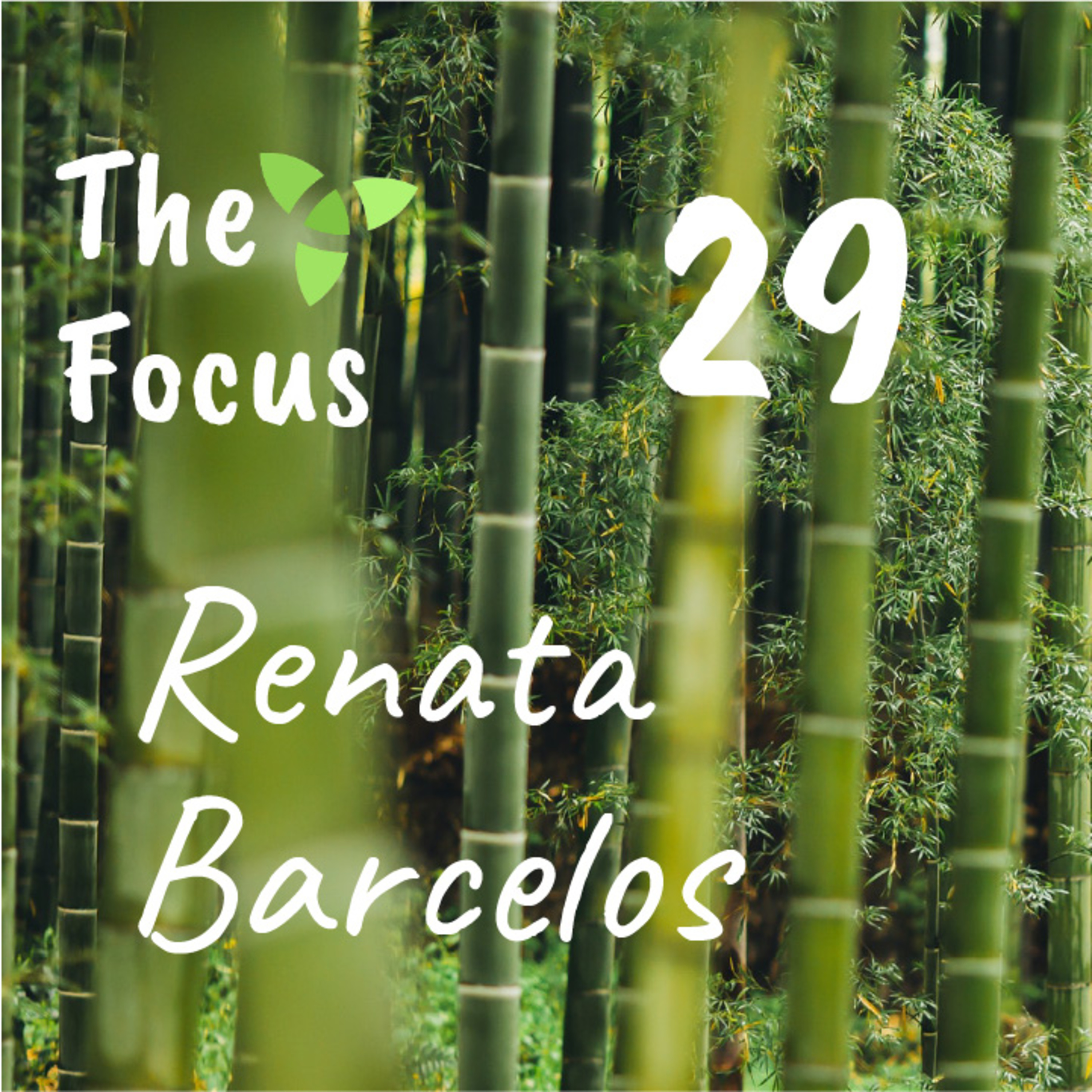 The Focus