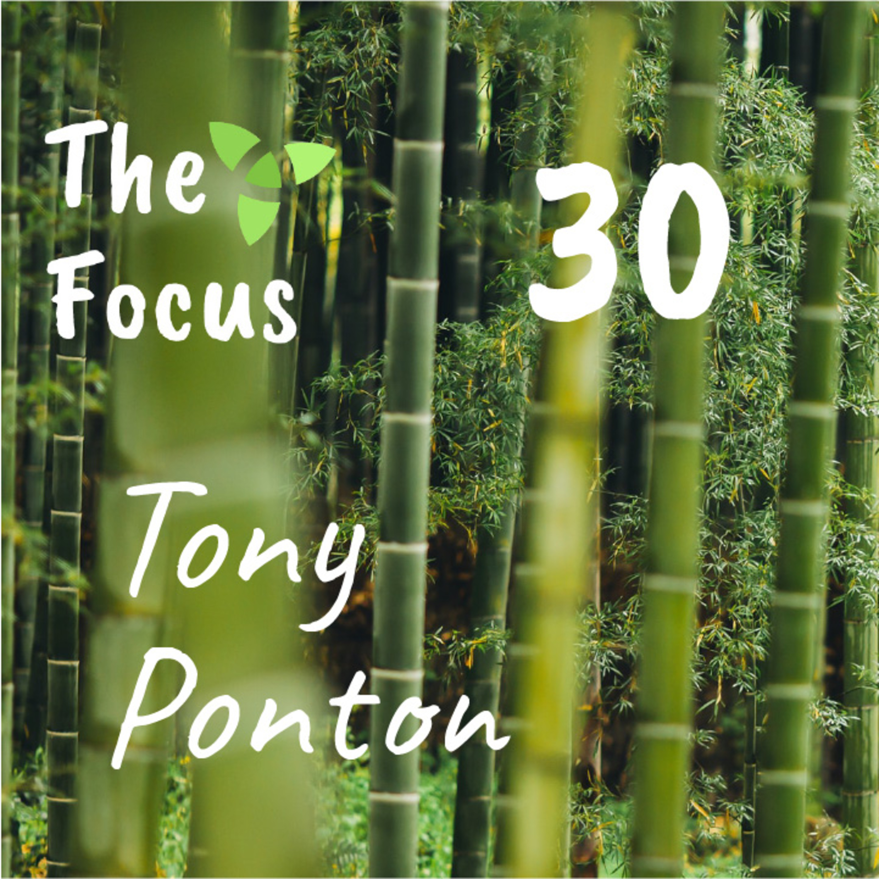 The Focus