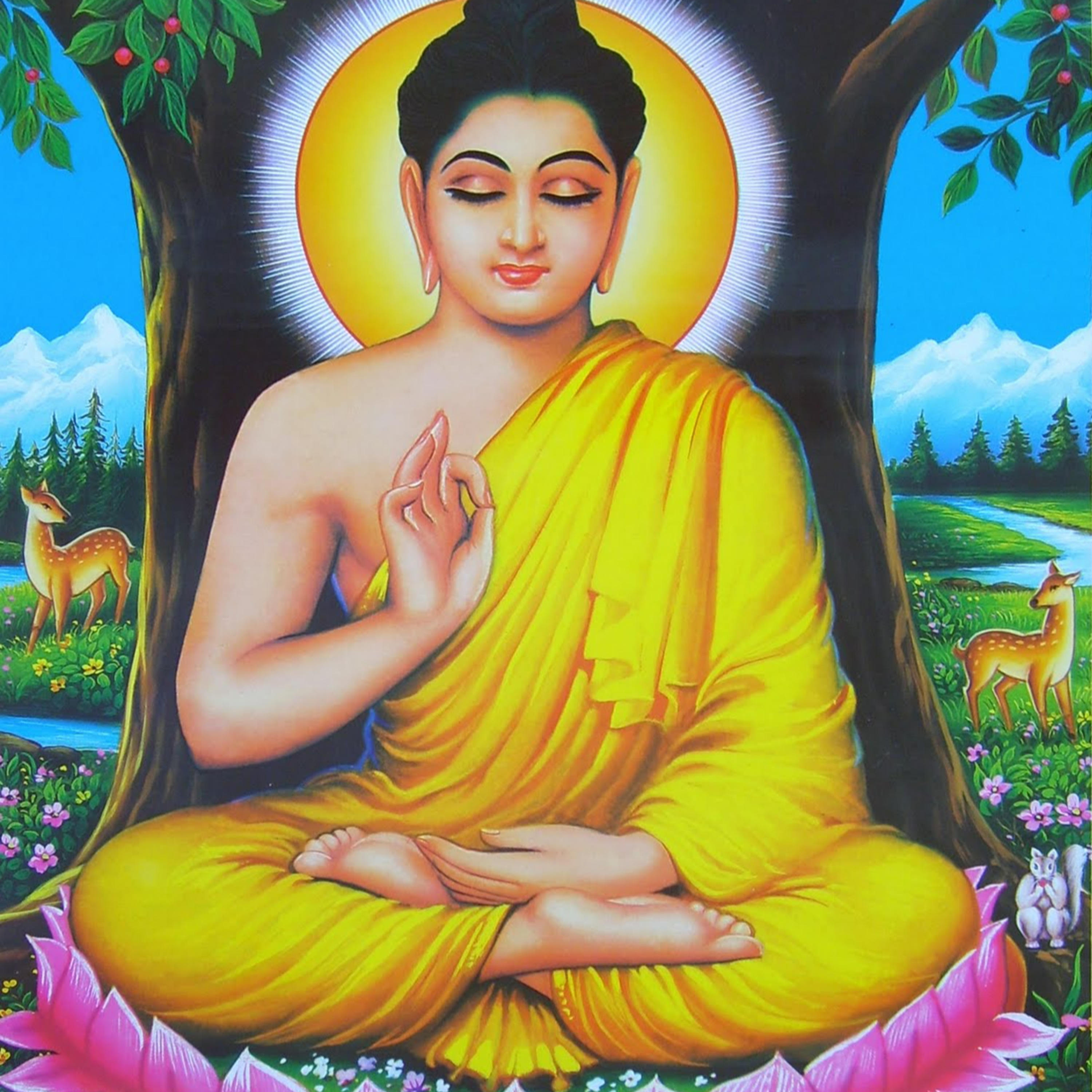 TOP SHELF. REED IS TOO HIGH episode artwork