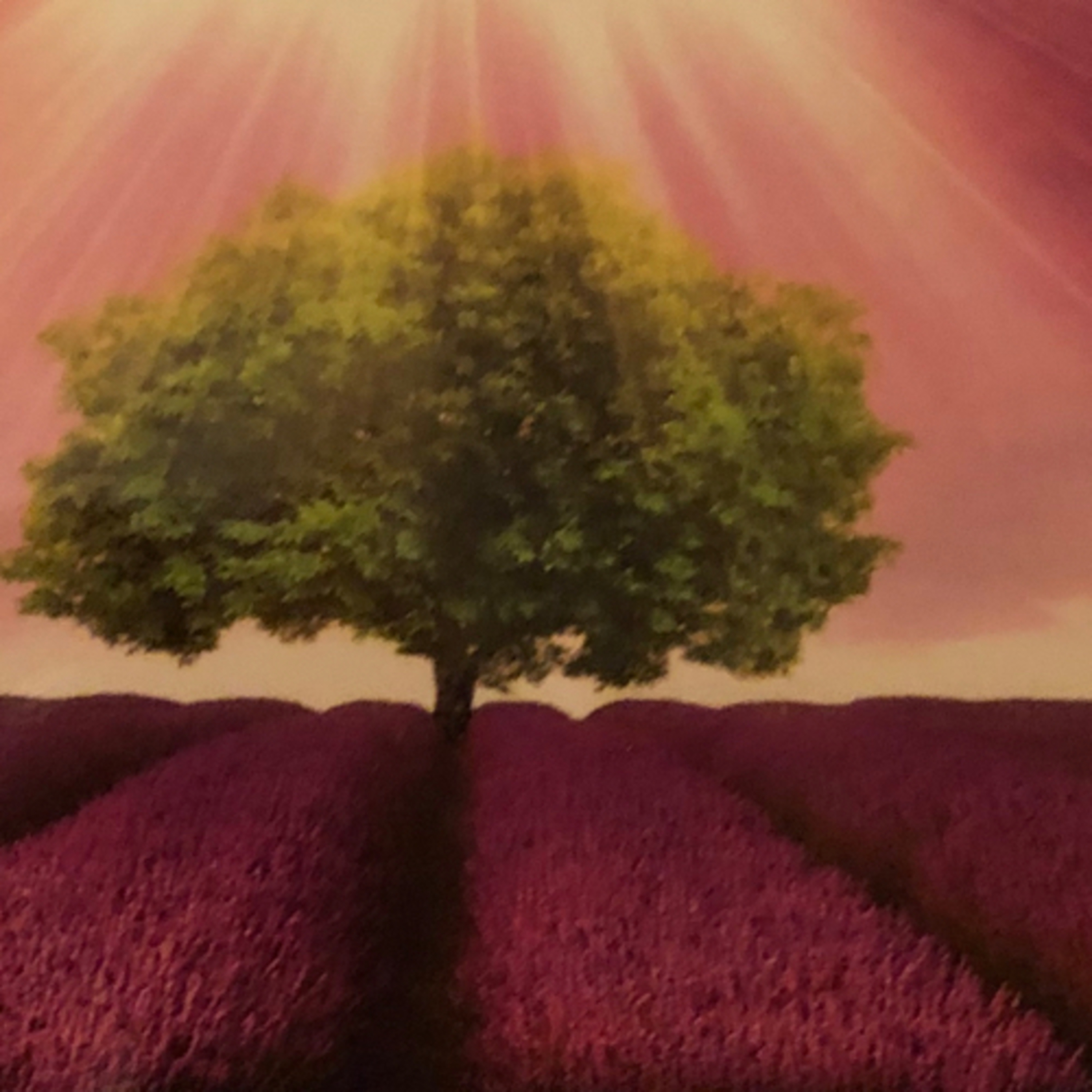 The Religion of Adam & Eve - Part 2 of 7