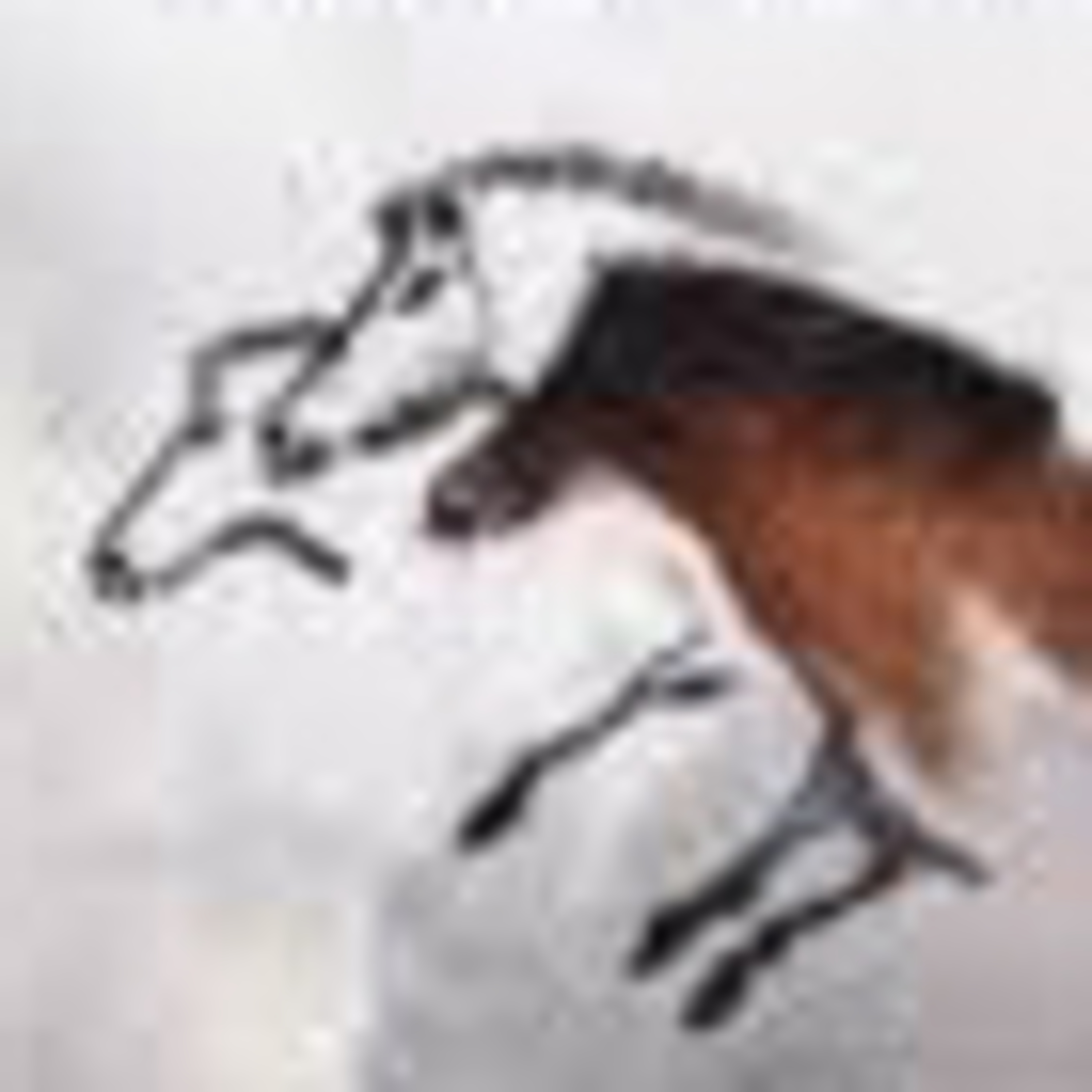 EL VALLE CAPITULO 14 episode artwork