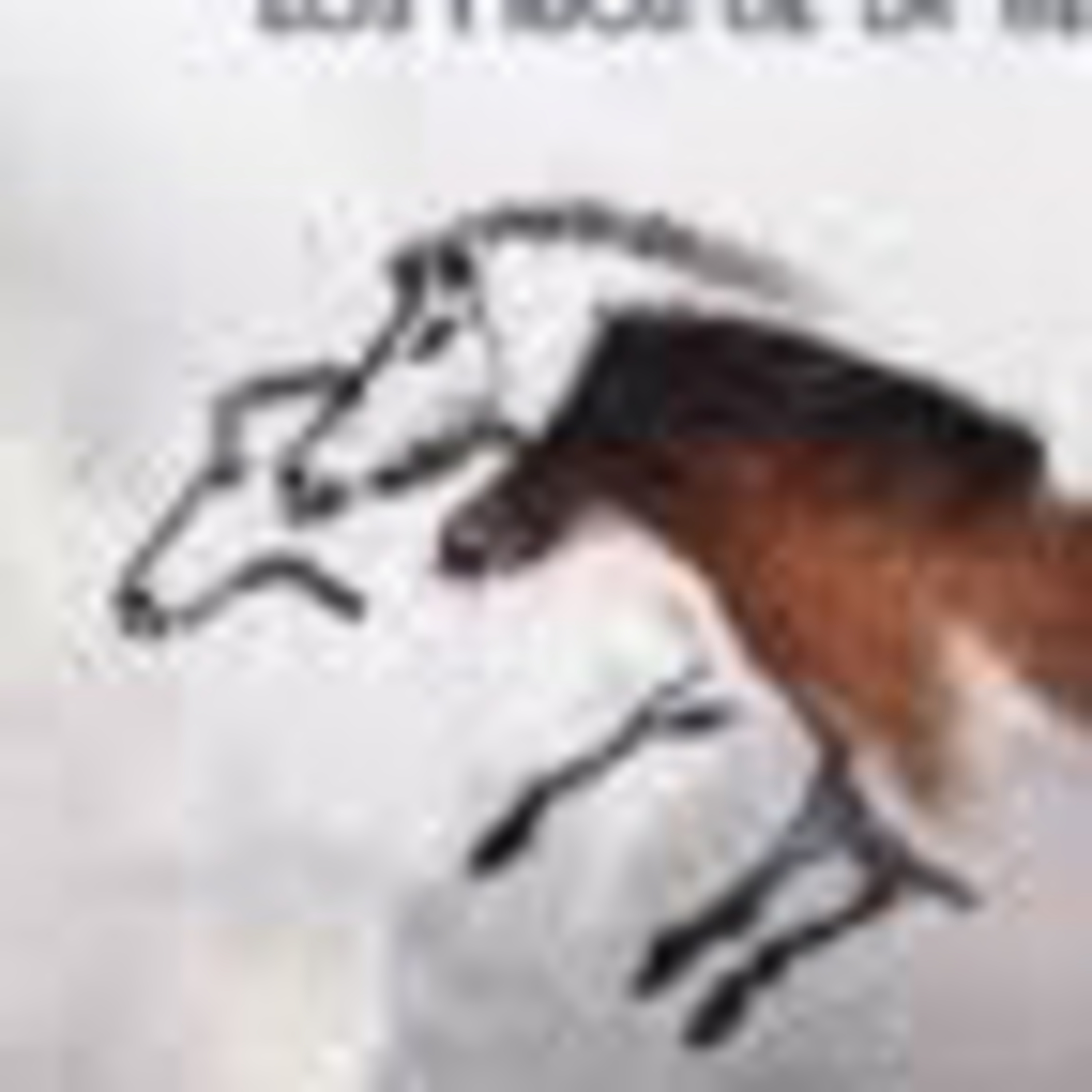 EL VALLE CAPITULO 17 episode artwork