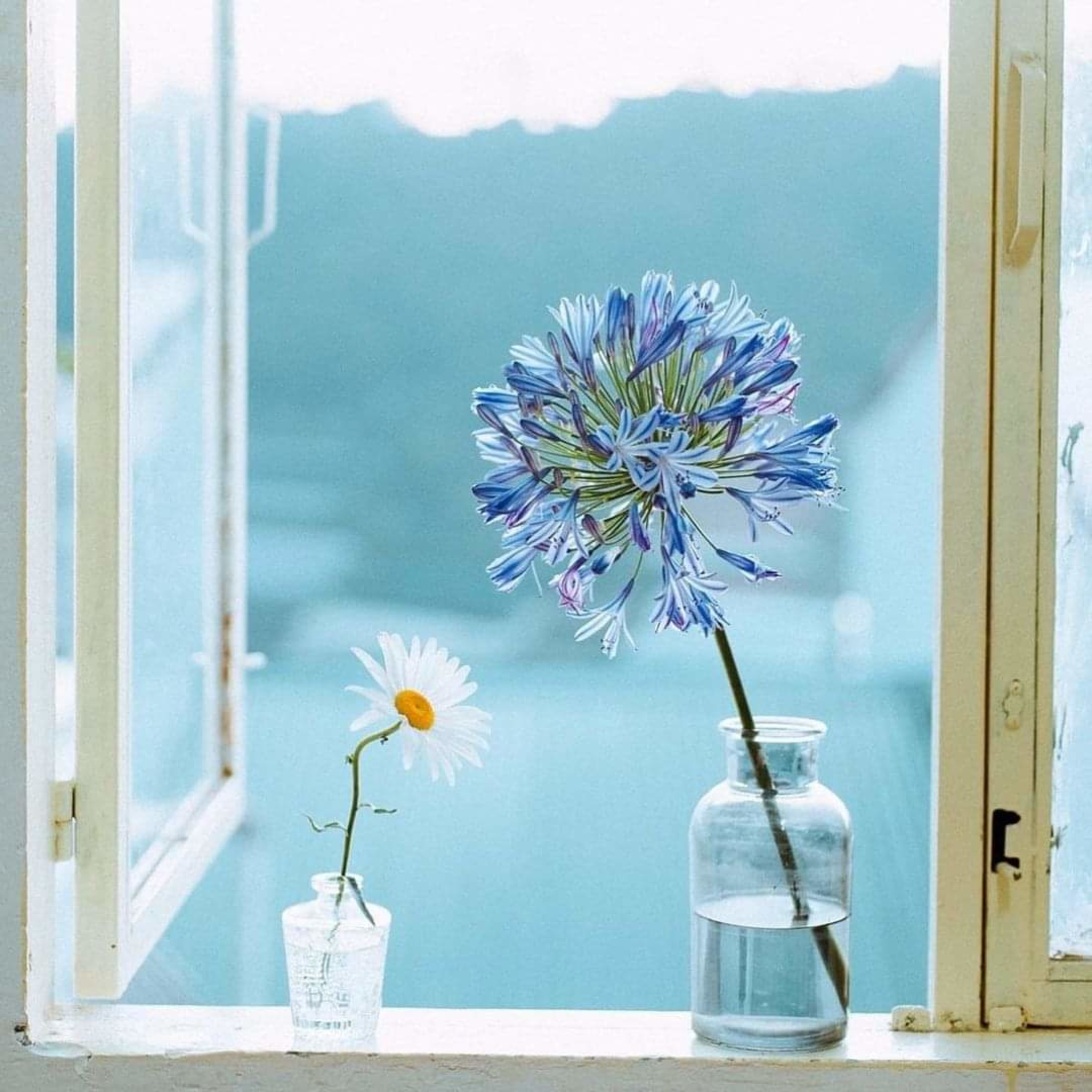 Hãy cùng nhau vượt qua những khó khăn hiện tại nhé. Đằng ấy ơi! episode artwork