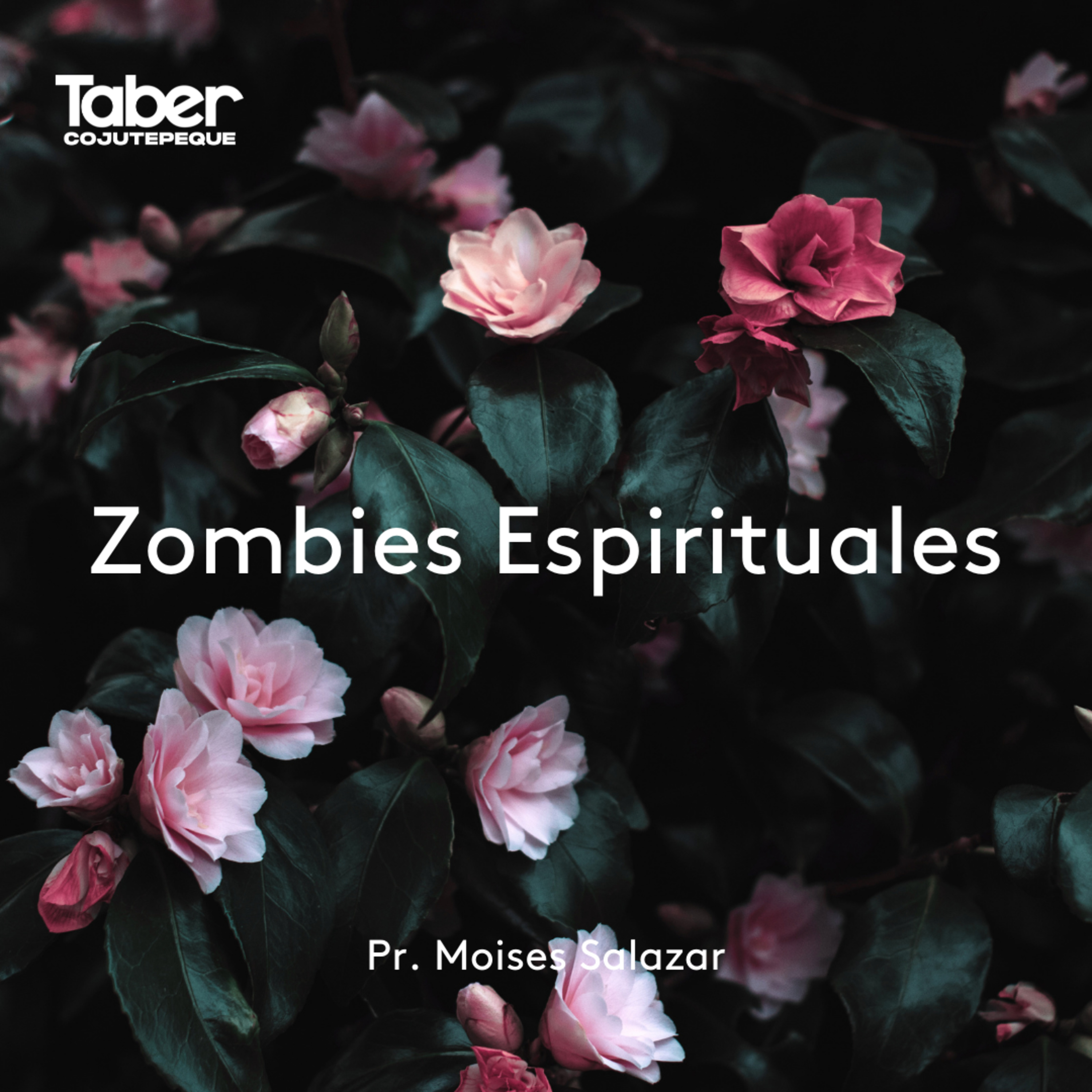 Zombies Espirituales episode artwork