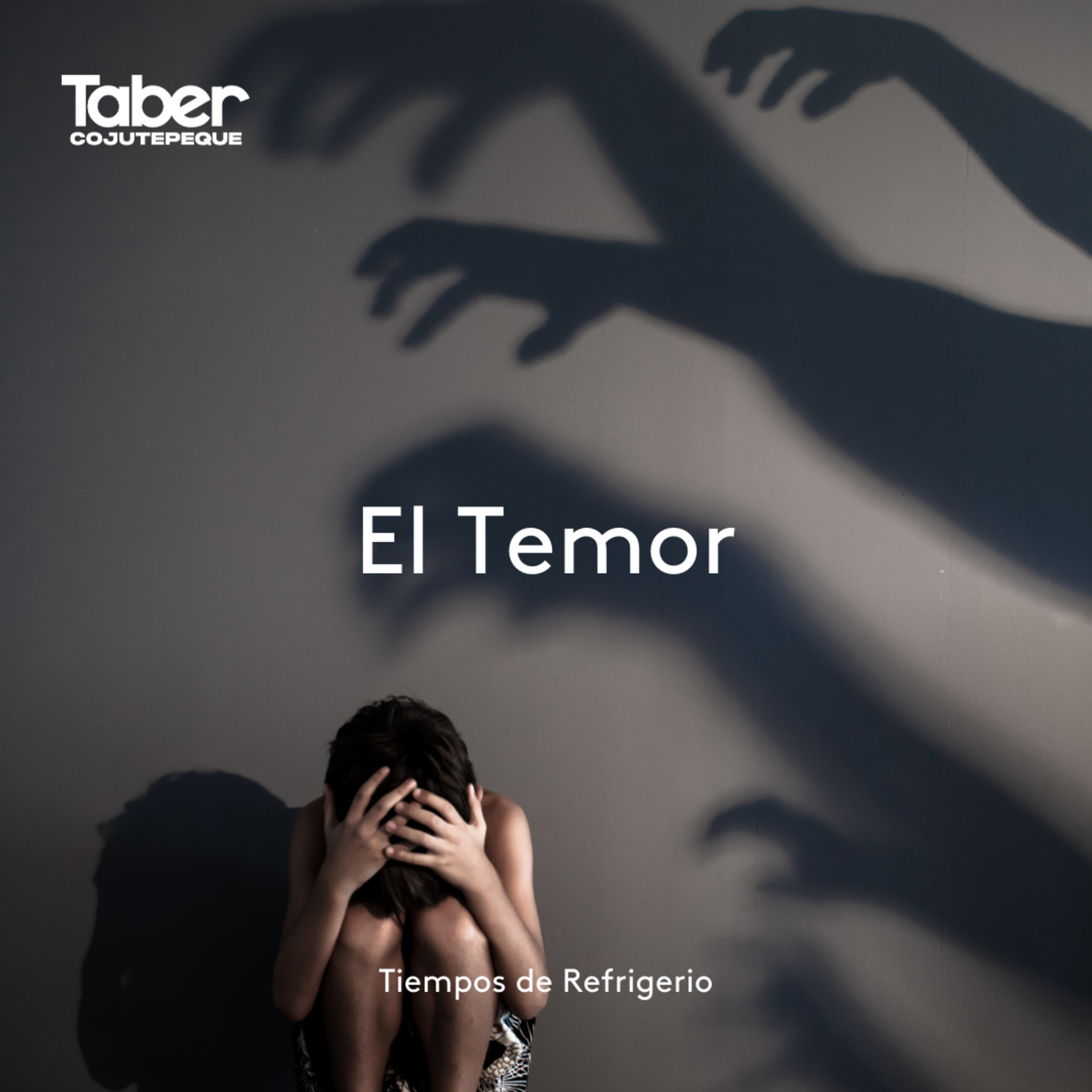 El Temor episode artwork