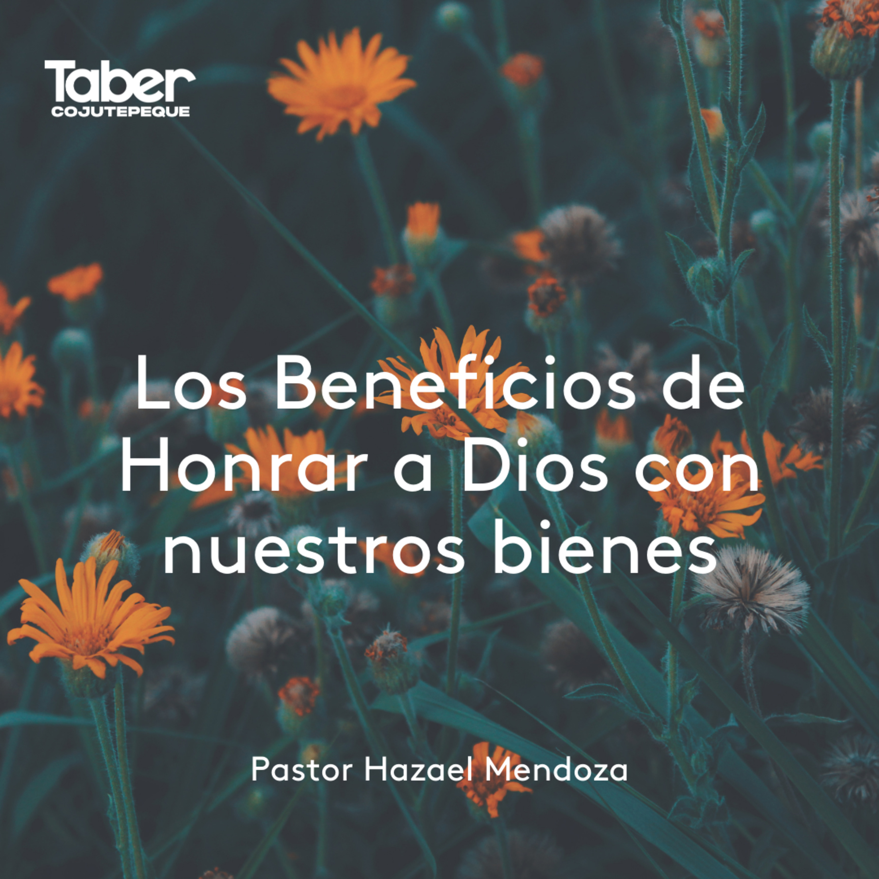 Los Beneficios de Honrar a Dios con Nuestros Bienes episode artwork
