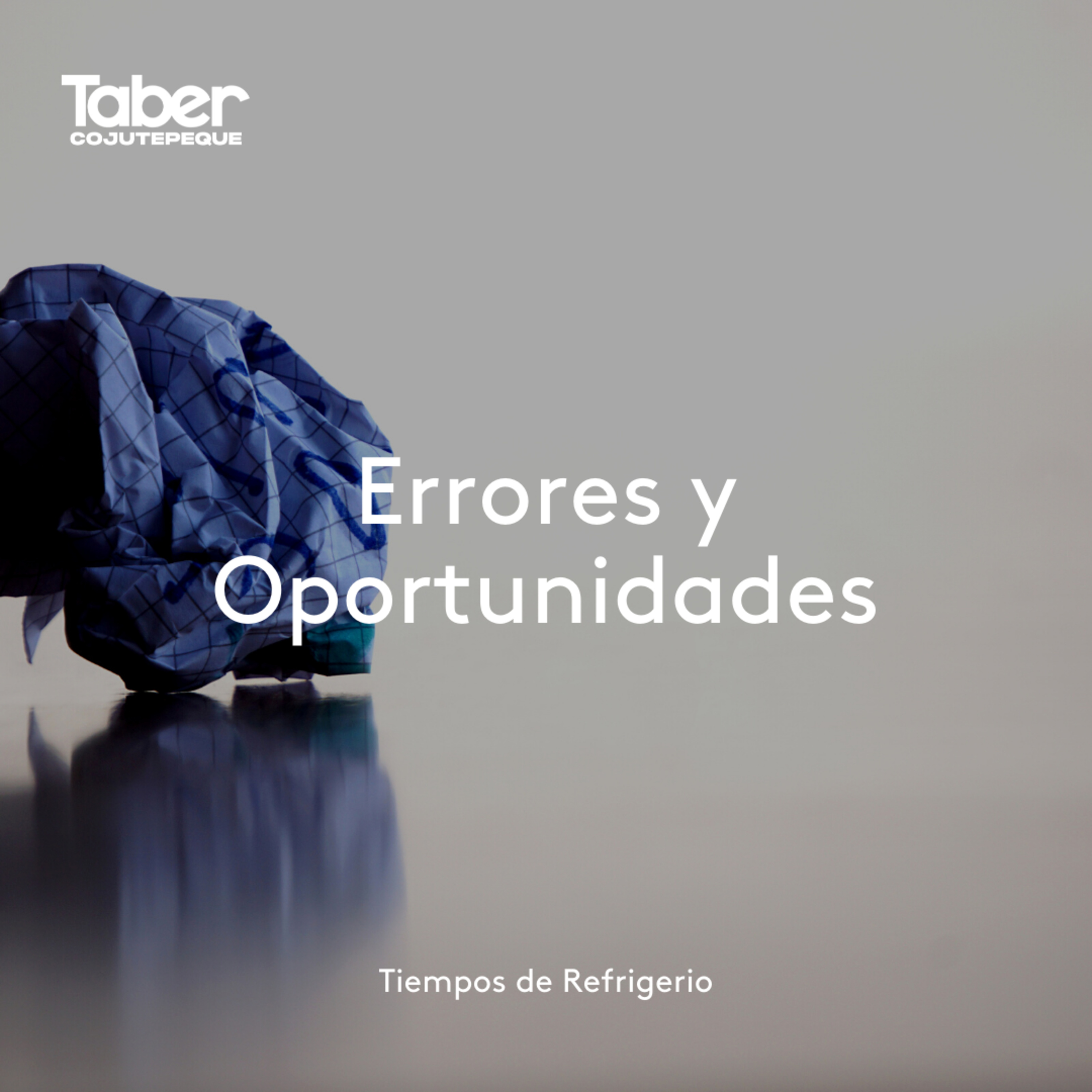 Errores y Oportunidades episode artwork