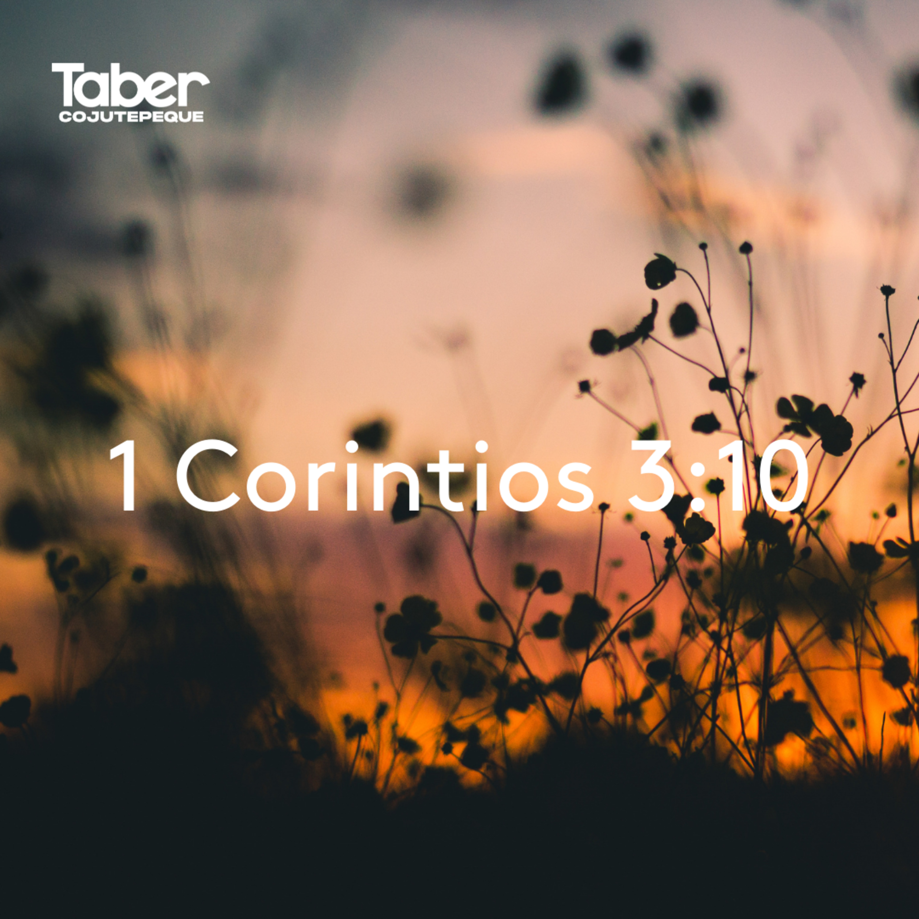 1 Corintios 3:10 episode artwork