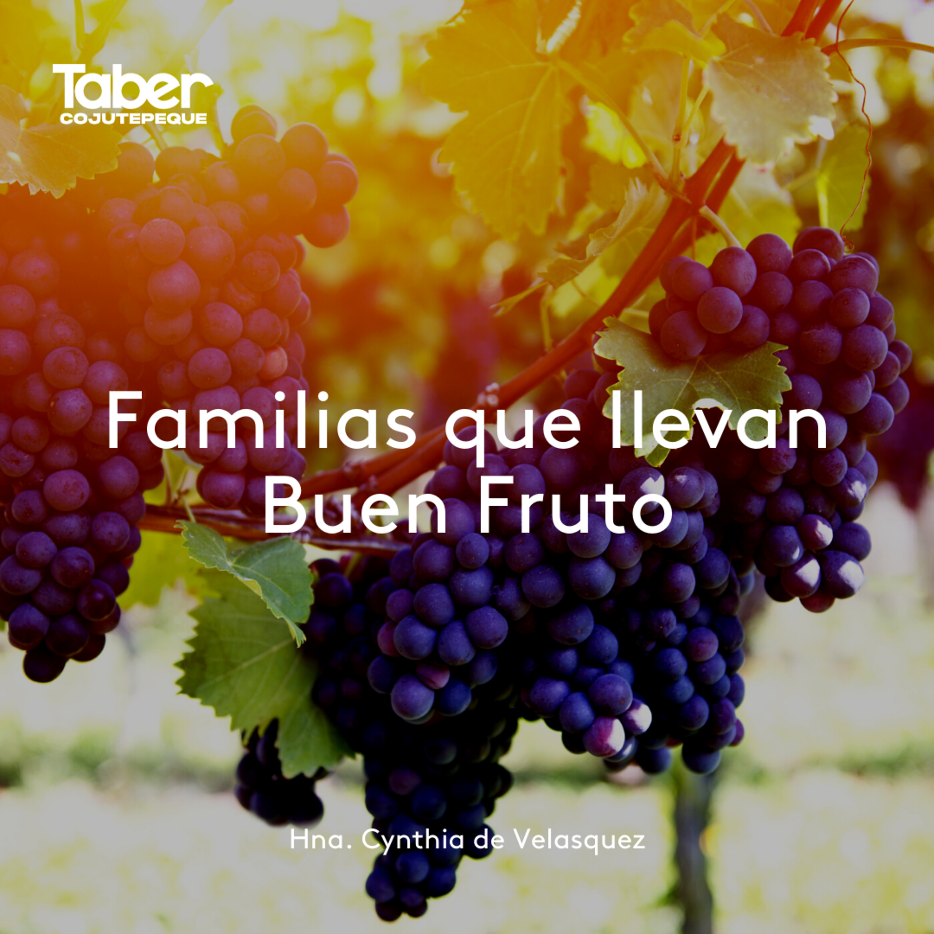 Familias Que Llevan Buen Fruto episode artwork