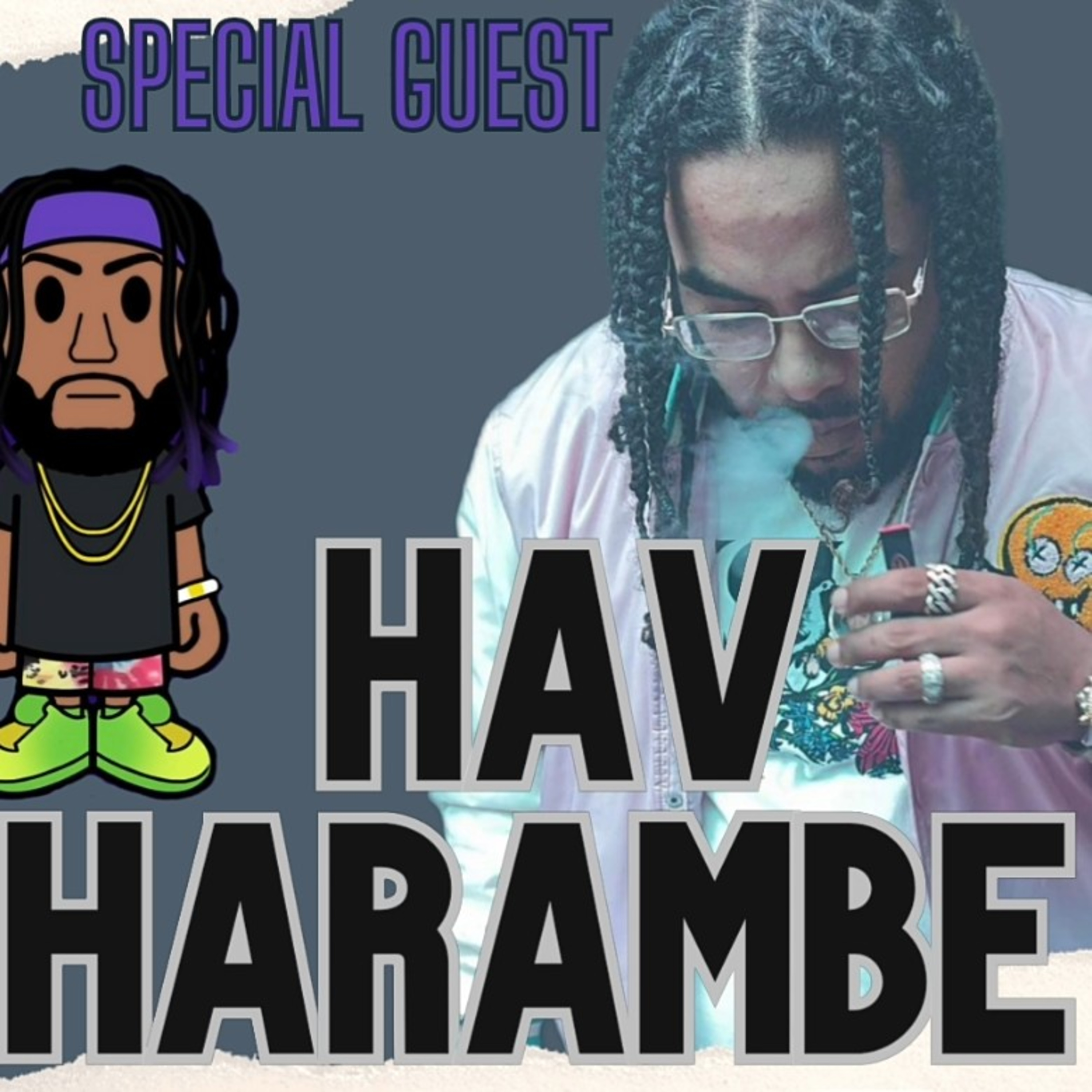 We're on with HAV HARAMBE  episode artwork
