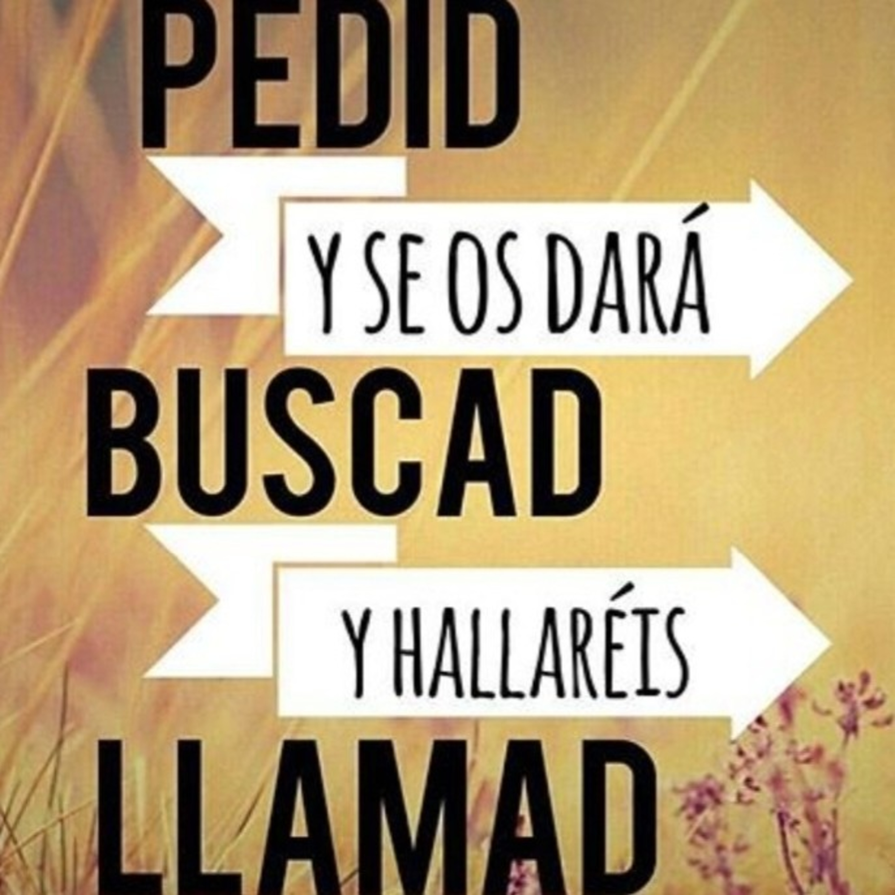 Momentos con DIOS. Primer Encuentro