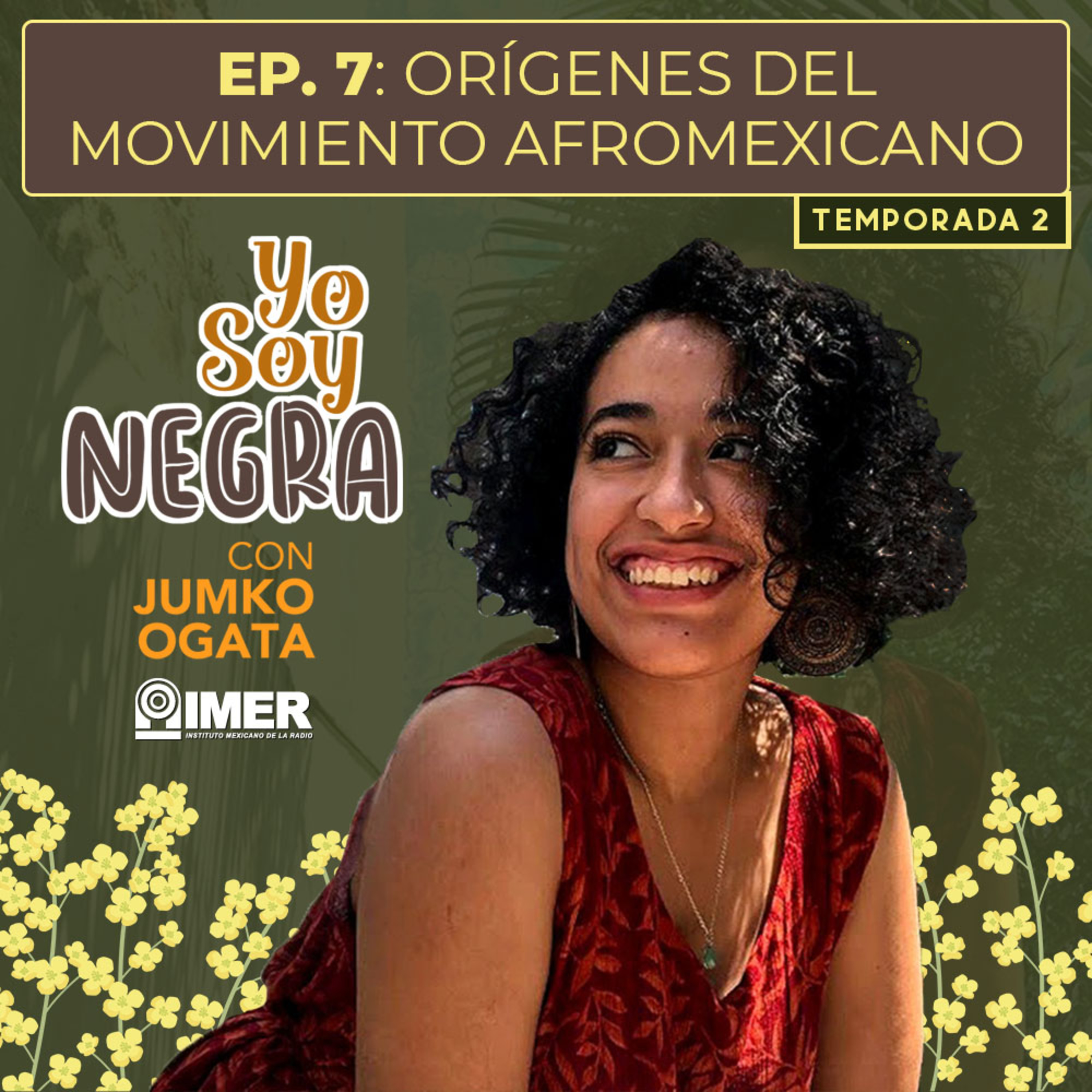  Orígenes del movimiento afromexicano episode artwork