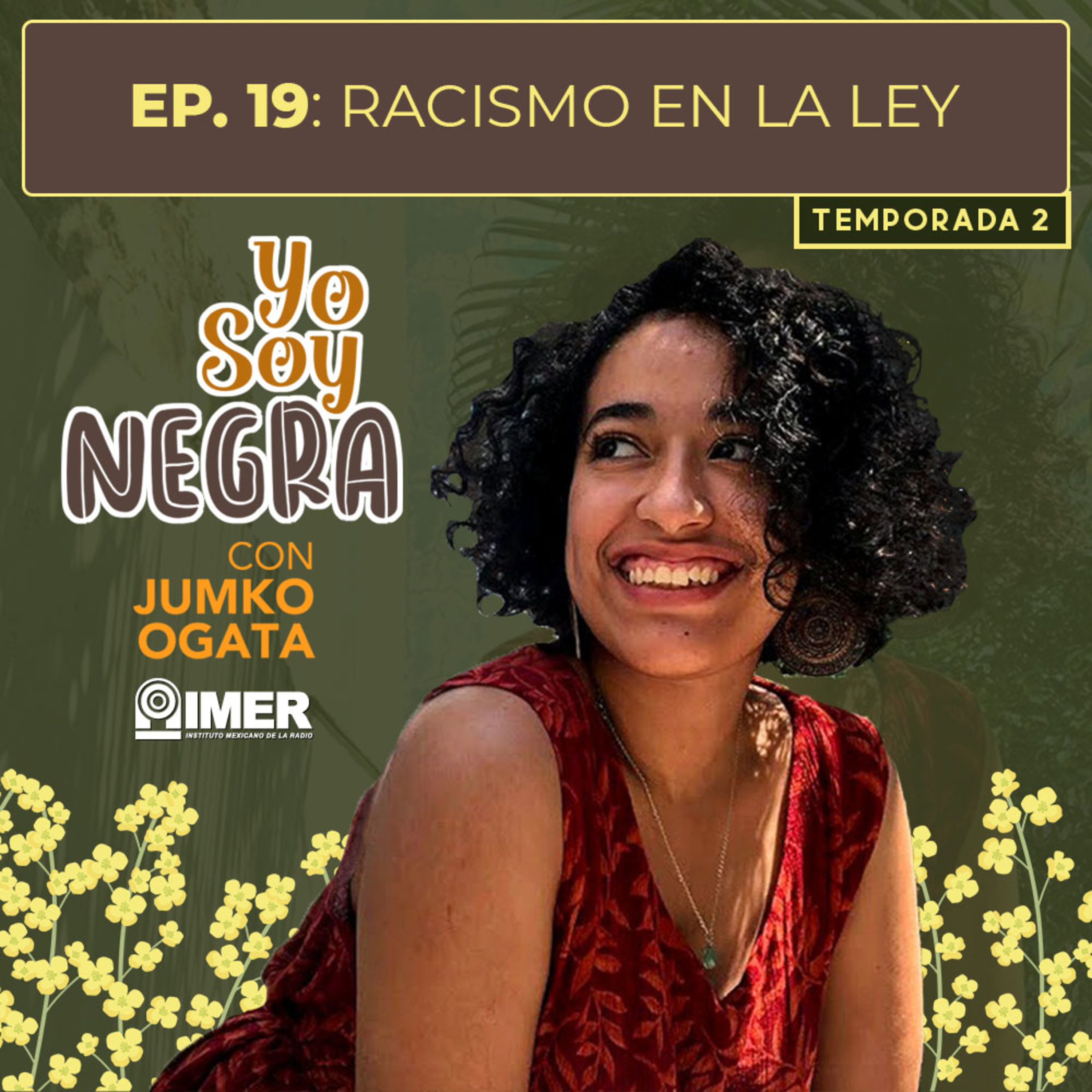 Racismo en la ley episode artwork