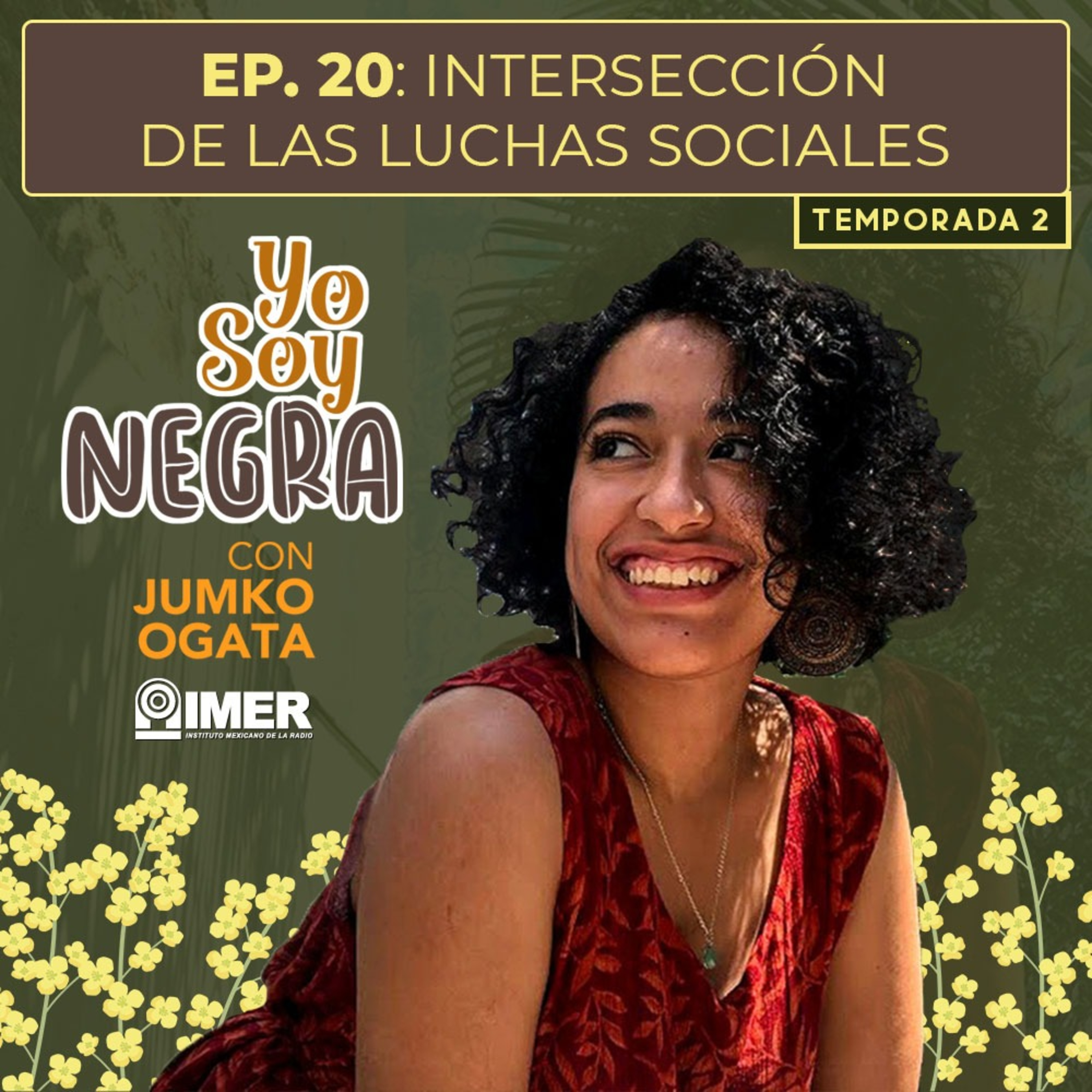 Intersección de las luchas sociales episode artwork