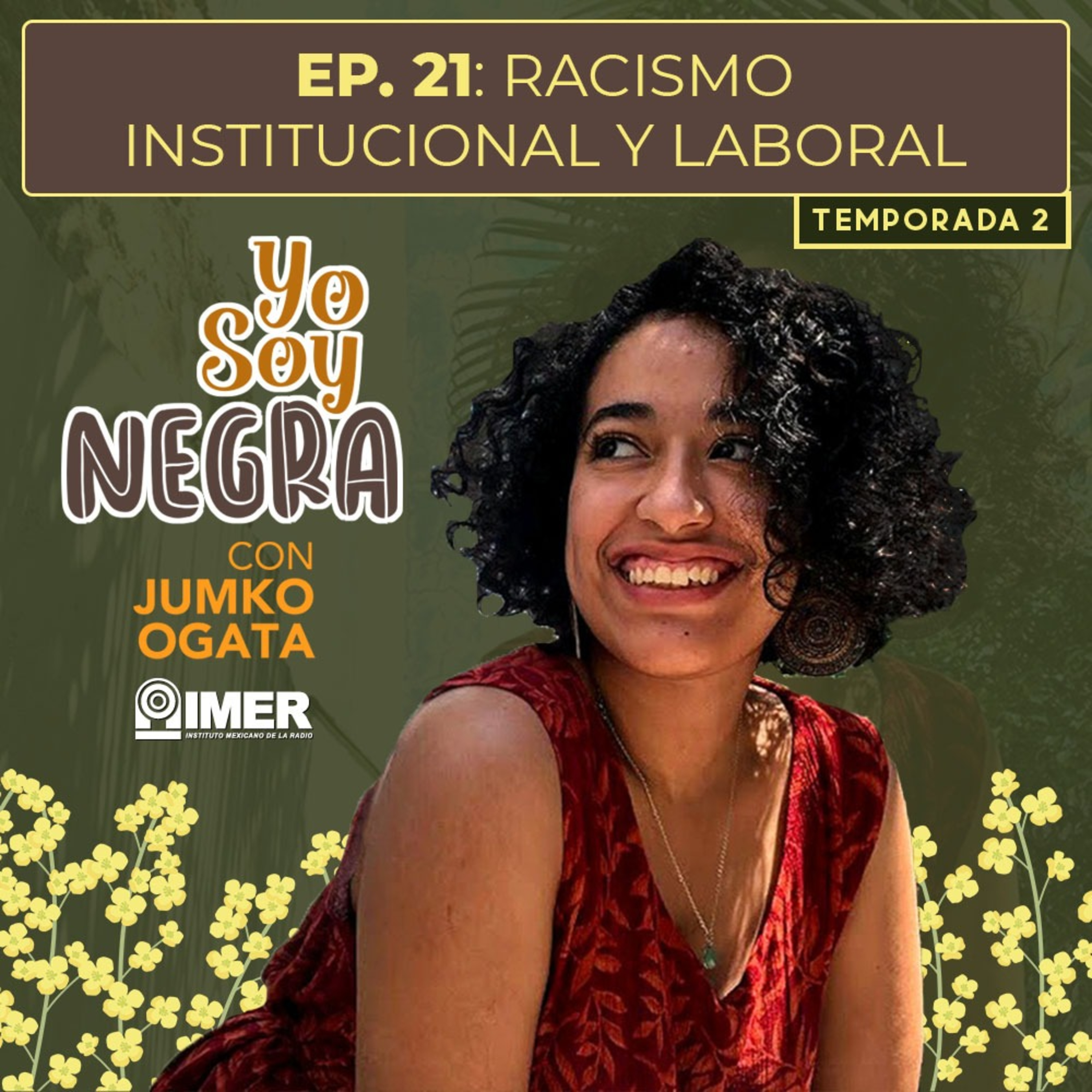 Racismo institucional y laboral episode artwork