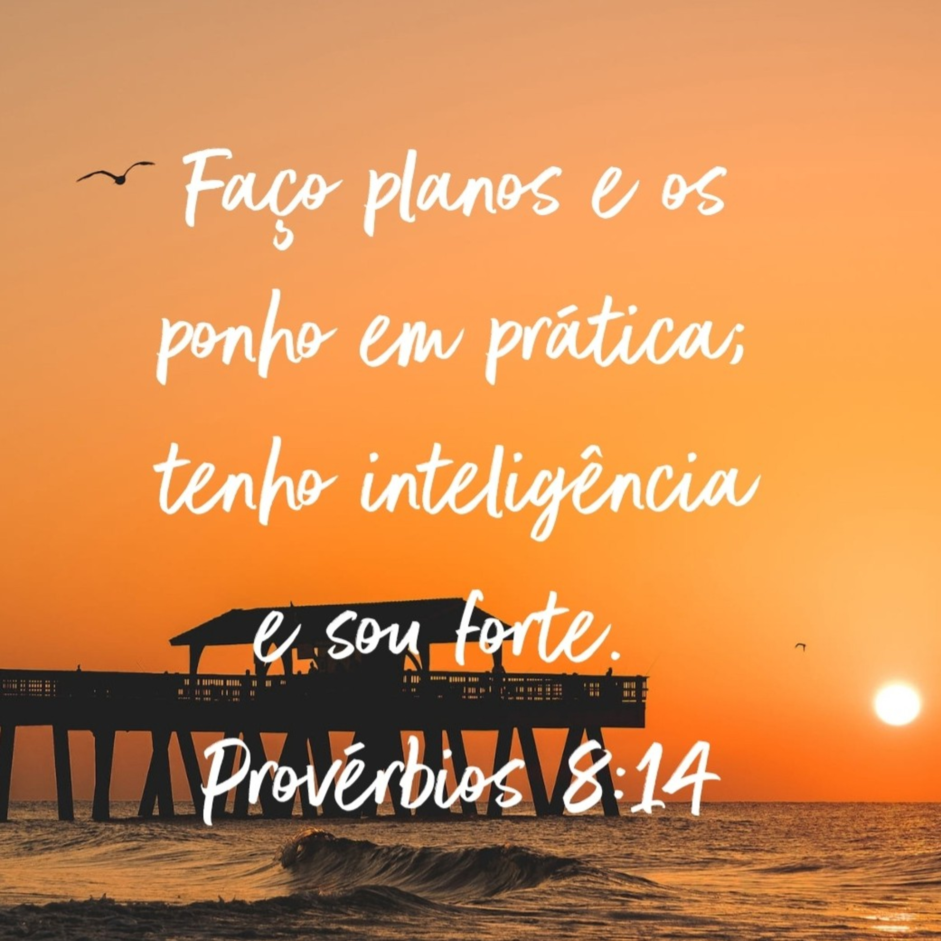 Provérbios 8 - O sábio decide, planeja e executa episode artwork