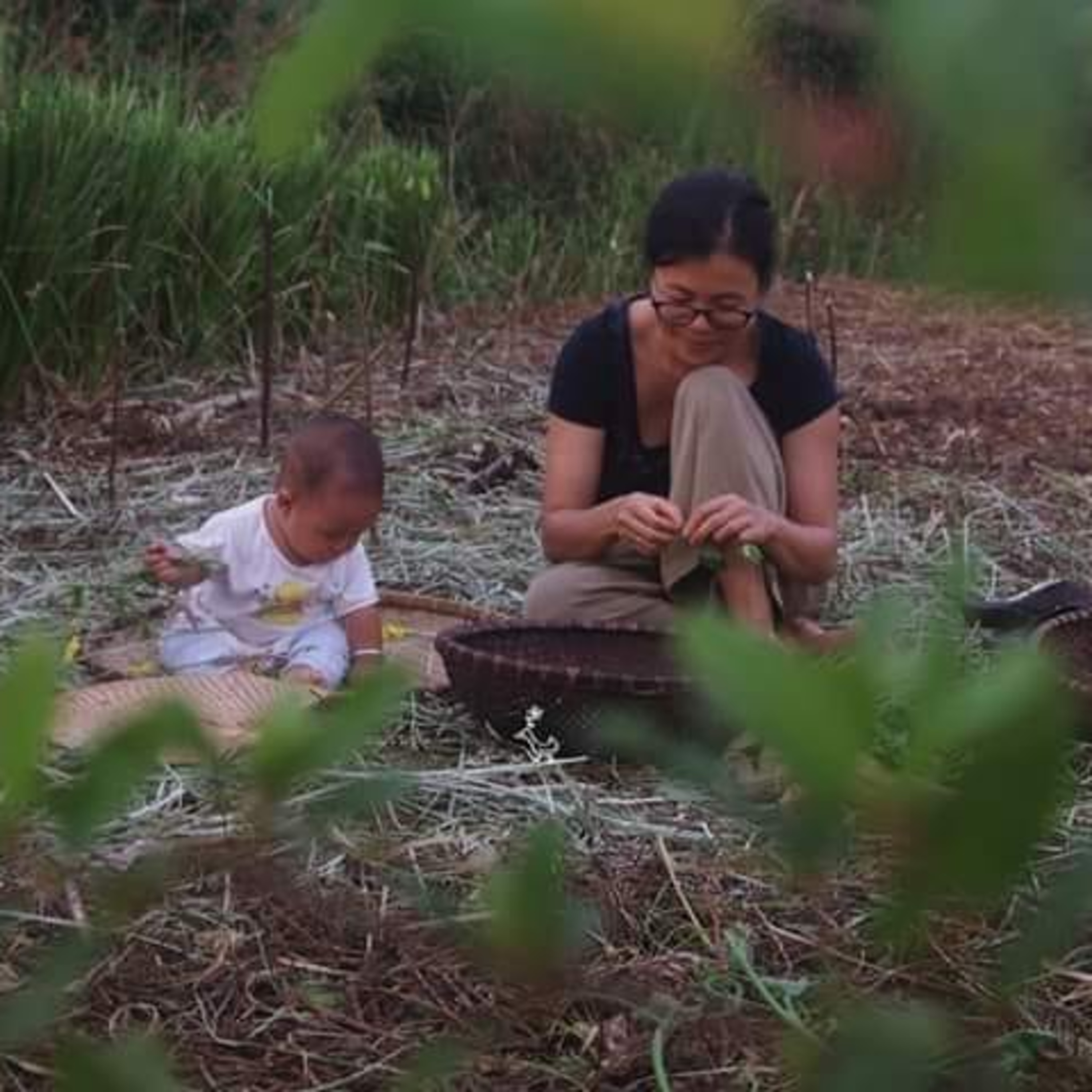 LỰA CHỌN CUỘC SỐNG BÌNH AN episode artwork
