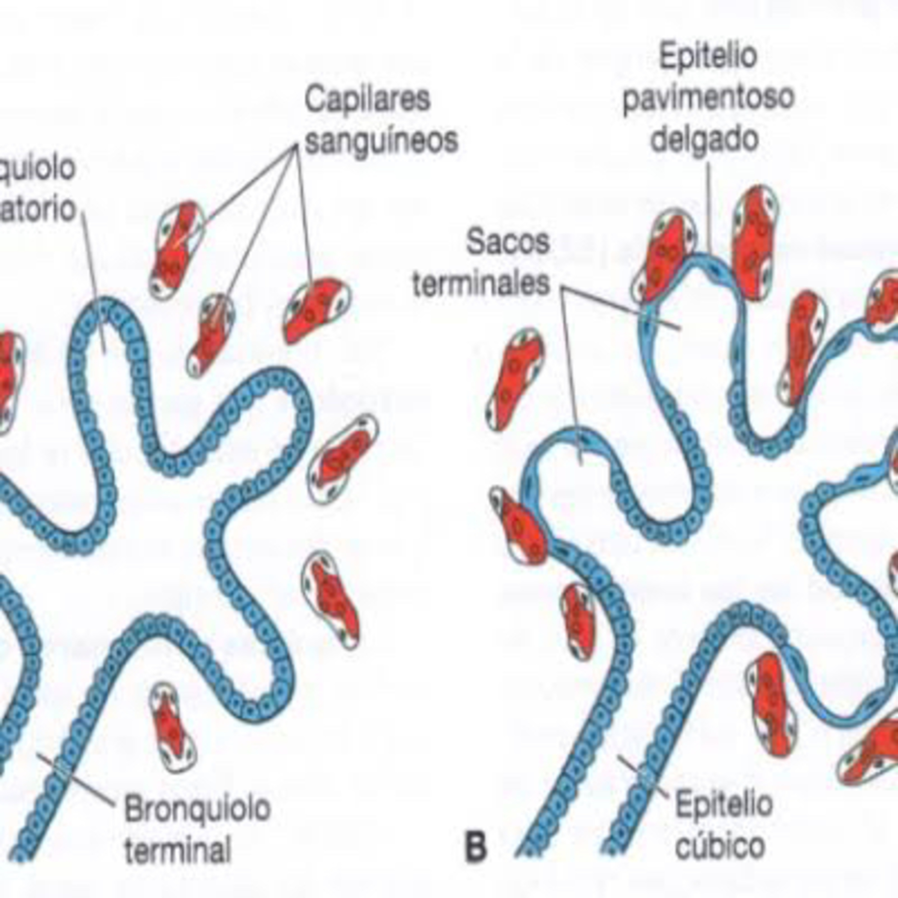 Simples Medicina, uma aluna do P4 (UNIPE) que quer acreditar que será simples