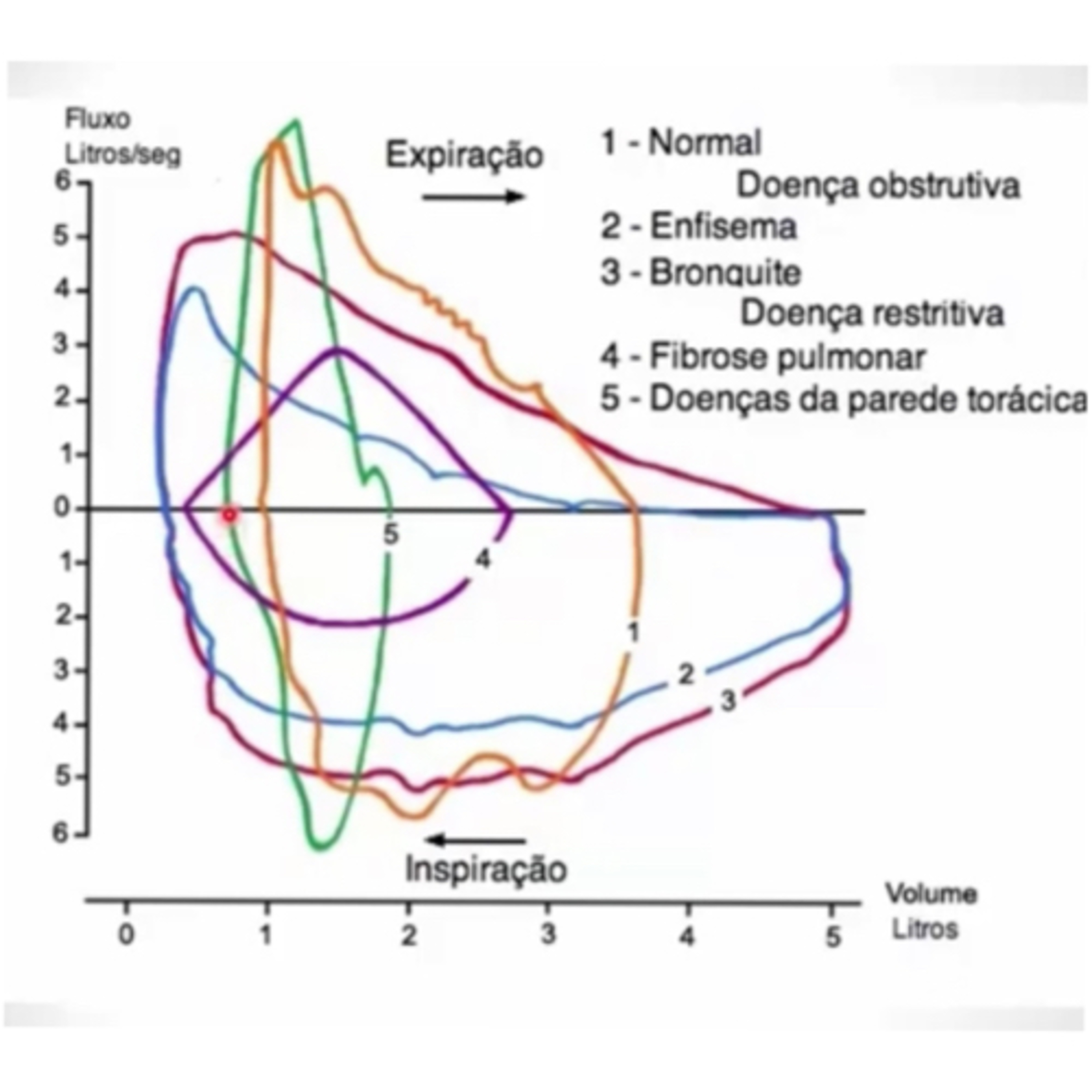 Simples Medicina, uma aluna do P4 (UNIPE) que quer acreditar que será simples