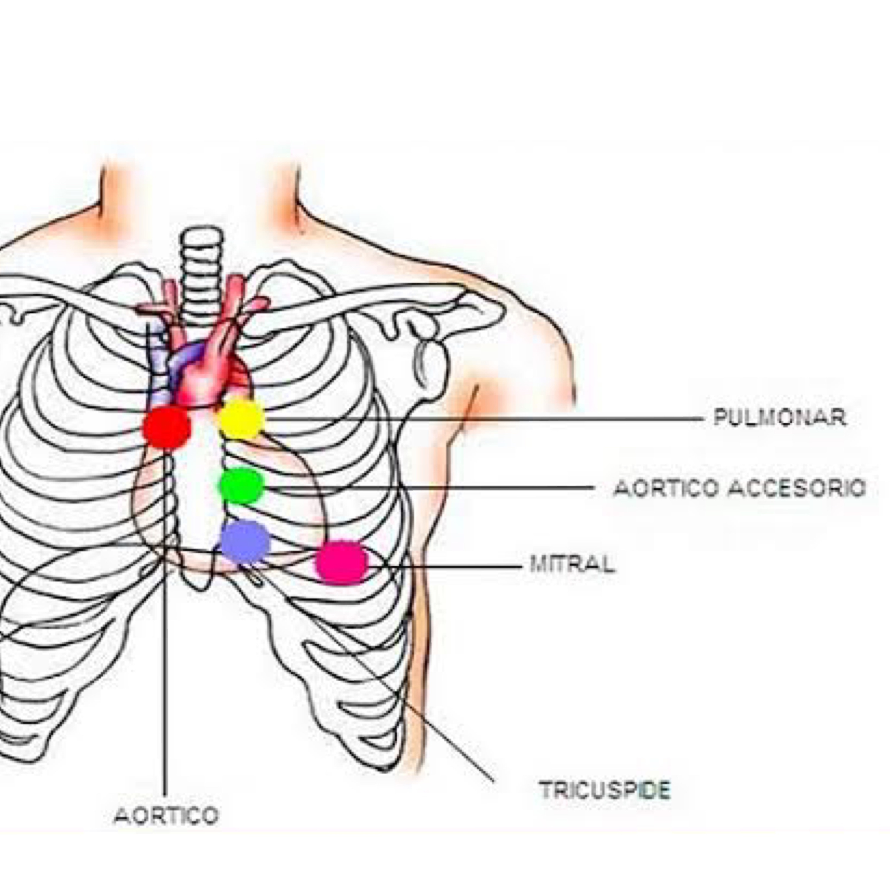 Simples Medicina, uma aluna do P4 (UNIPE) que quer acreditar que será simples