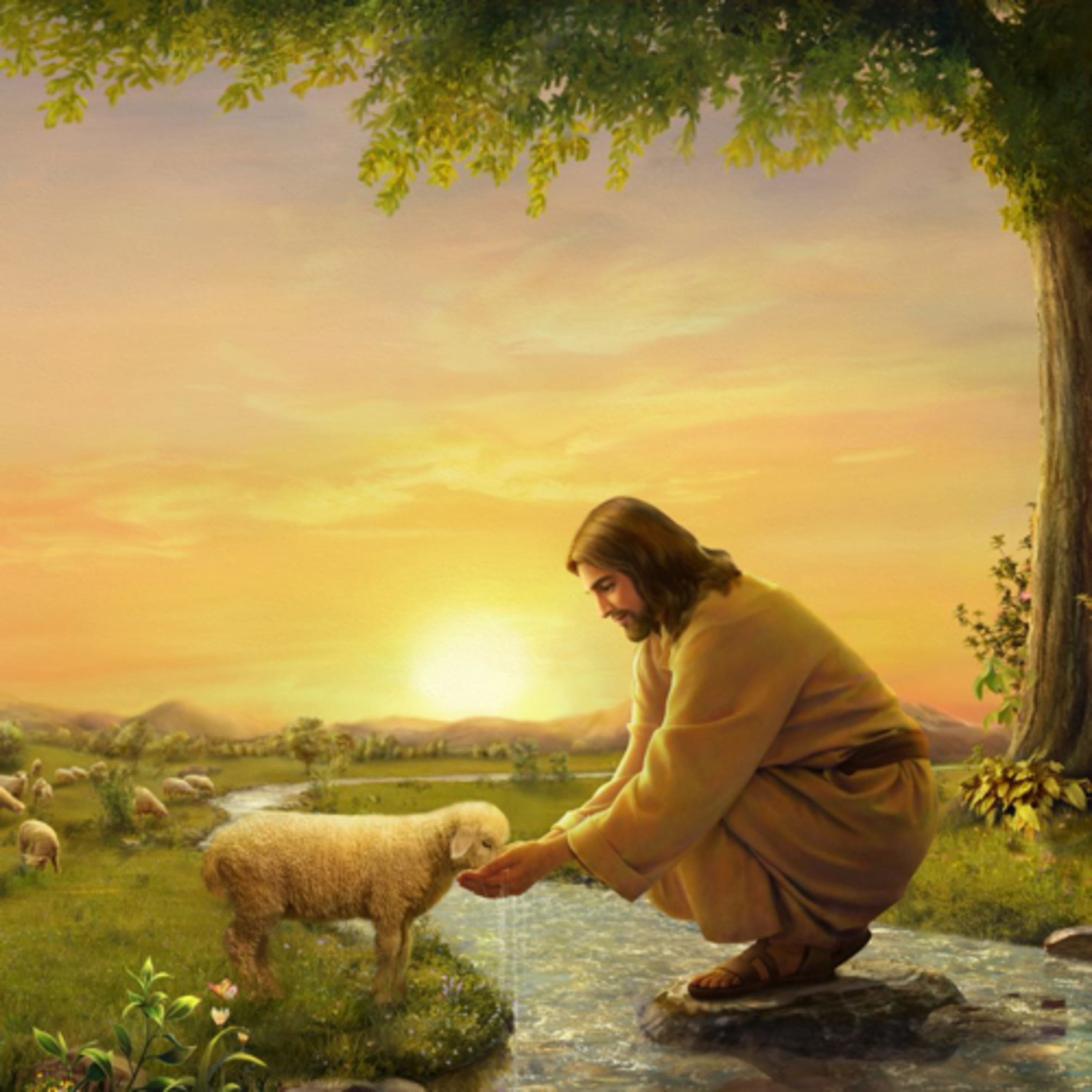 Psalm 23 Revelation - verse by verse revelation  episode artwork