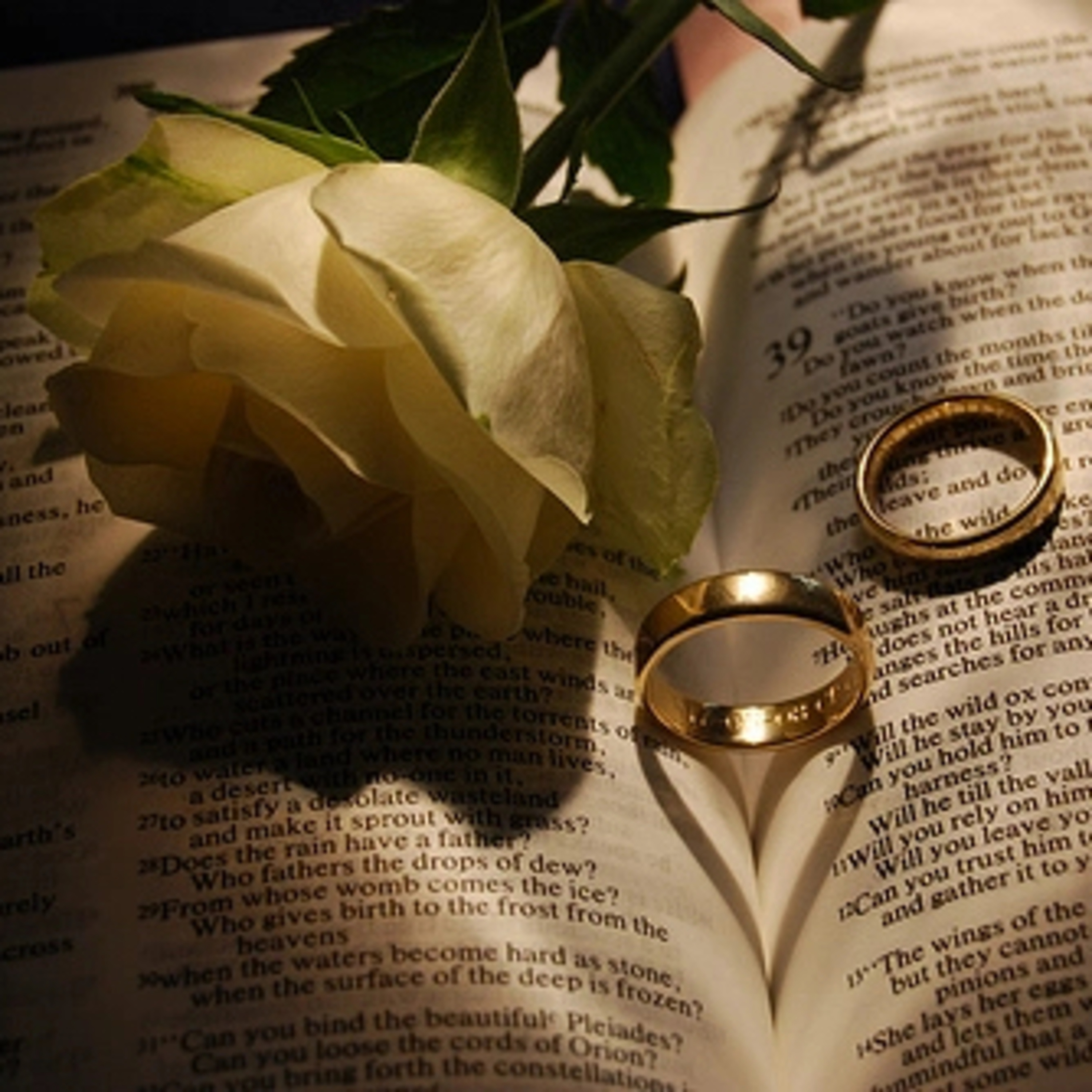 God Revelation and Reassurance of Love, Covenant with Him, my future husband and people episode artwork