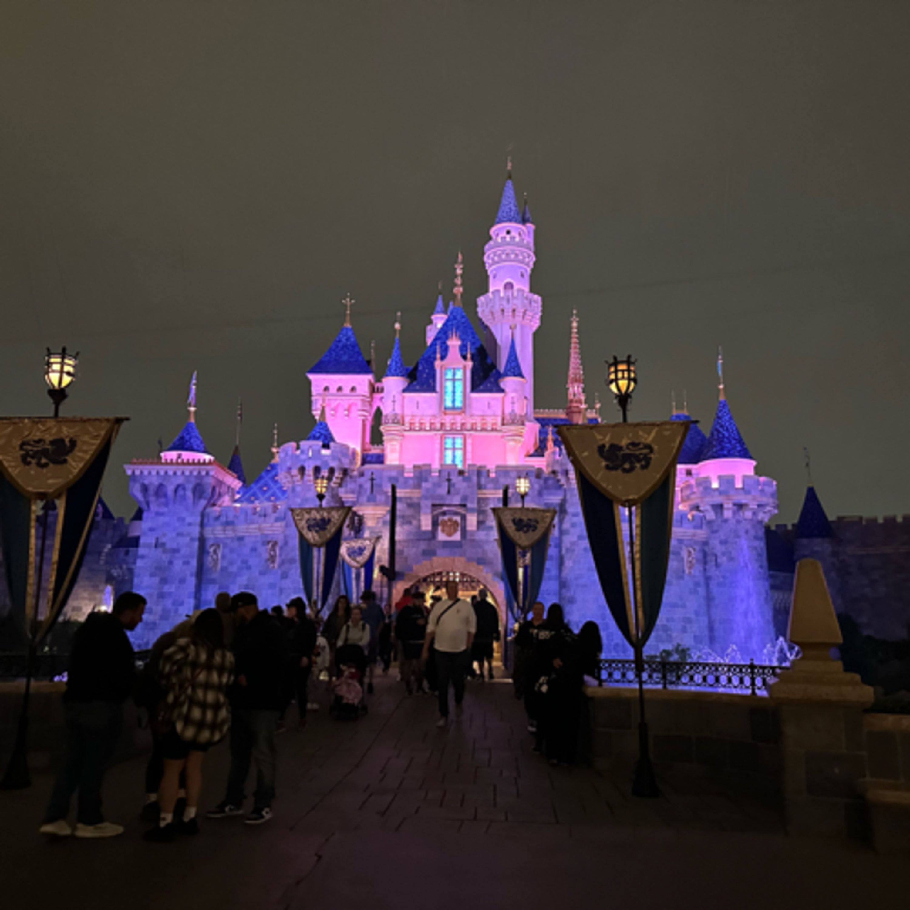 Disneyland Revelations  episode artwork