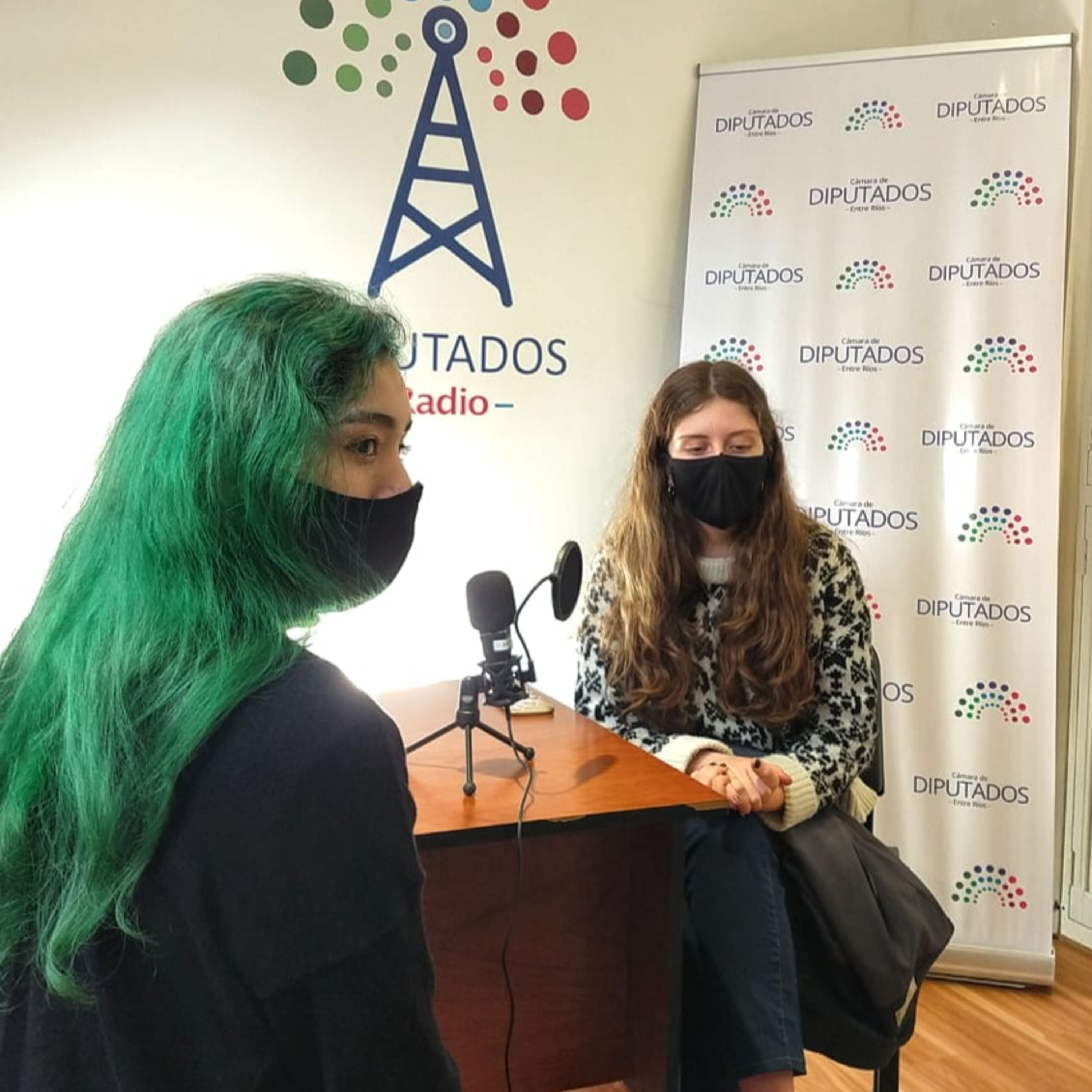 Portada de Radio Diputados