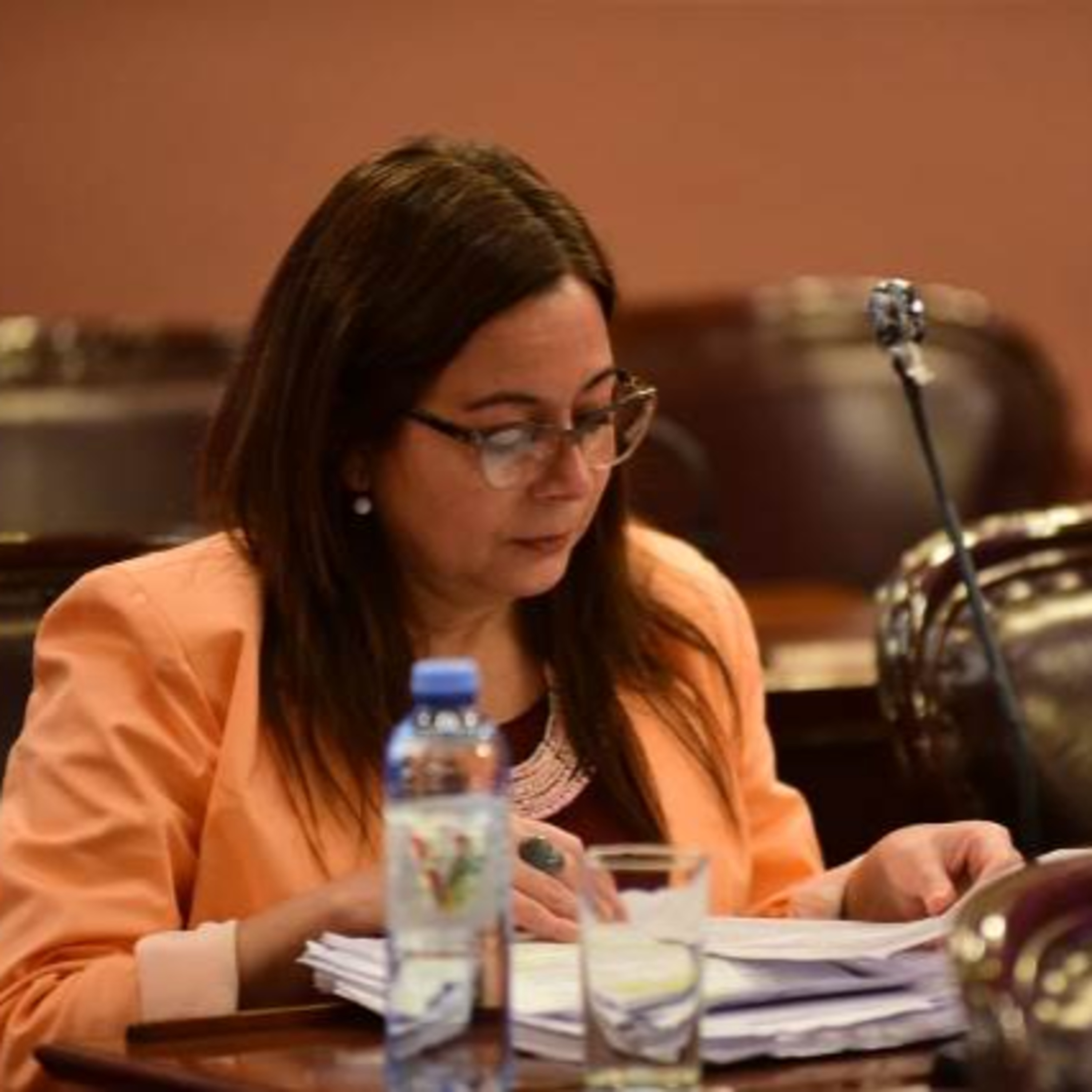 Portada de Radio Diputados