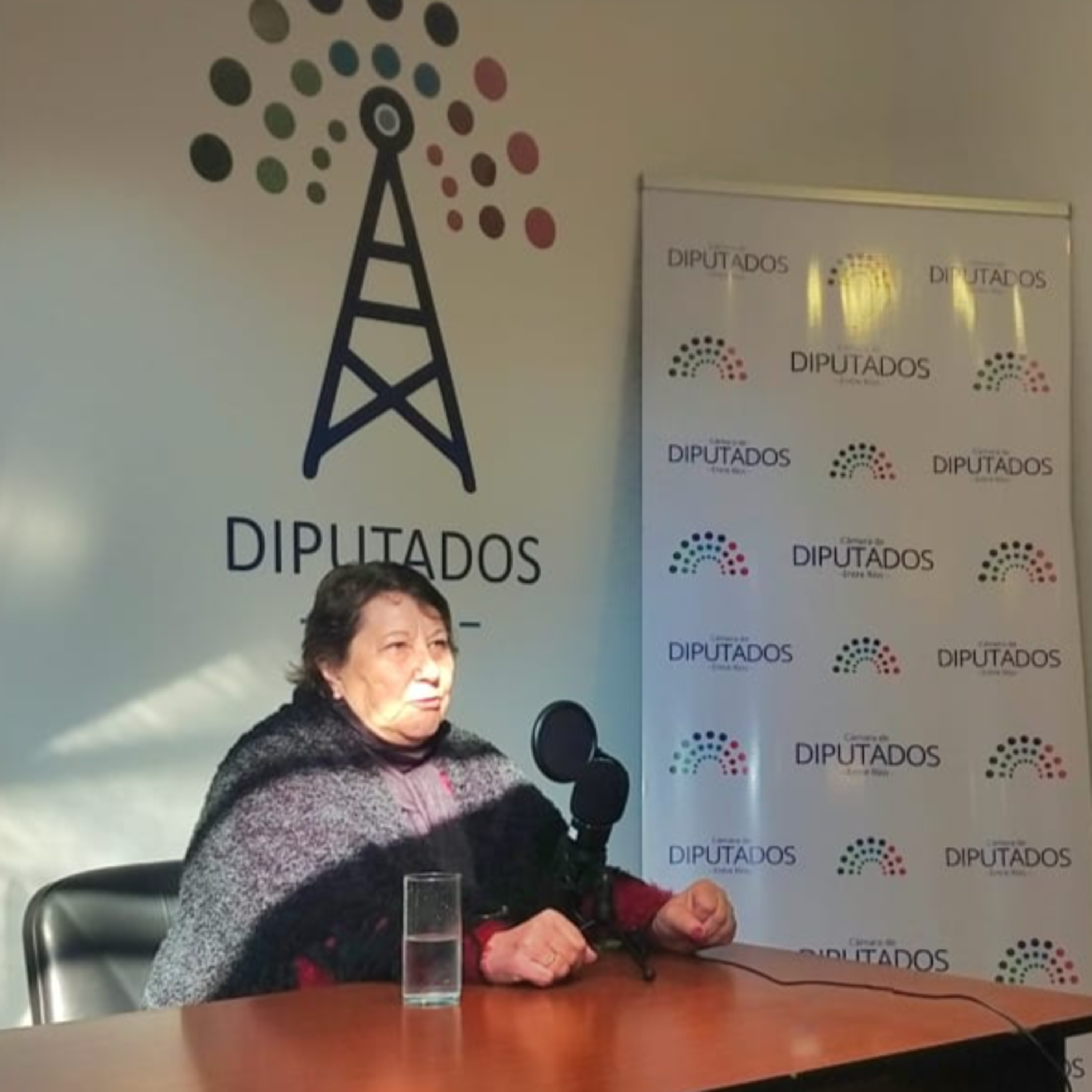 Portada de Radio Diputados