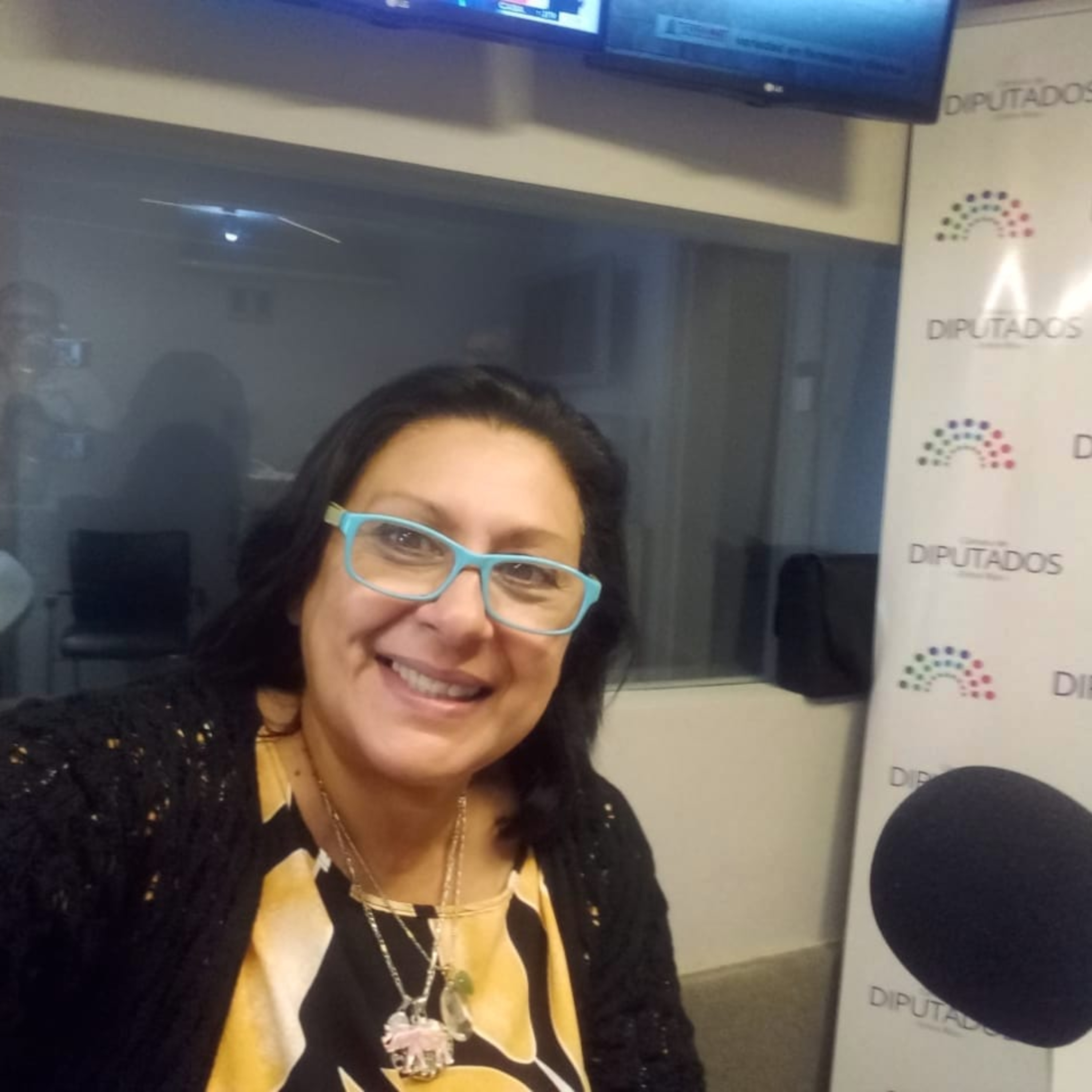 Portada de Radio Diputados